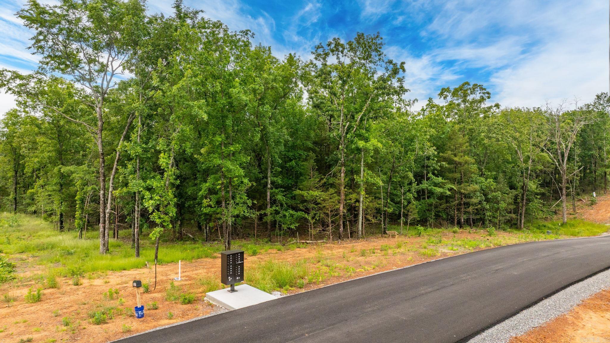 Lot 5 Hwy 65/ Sky Eagle Dr. Property Photo 16