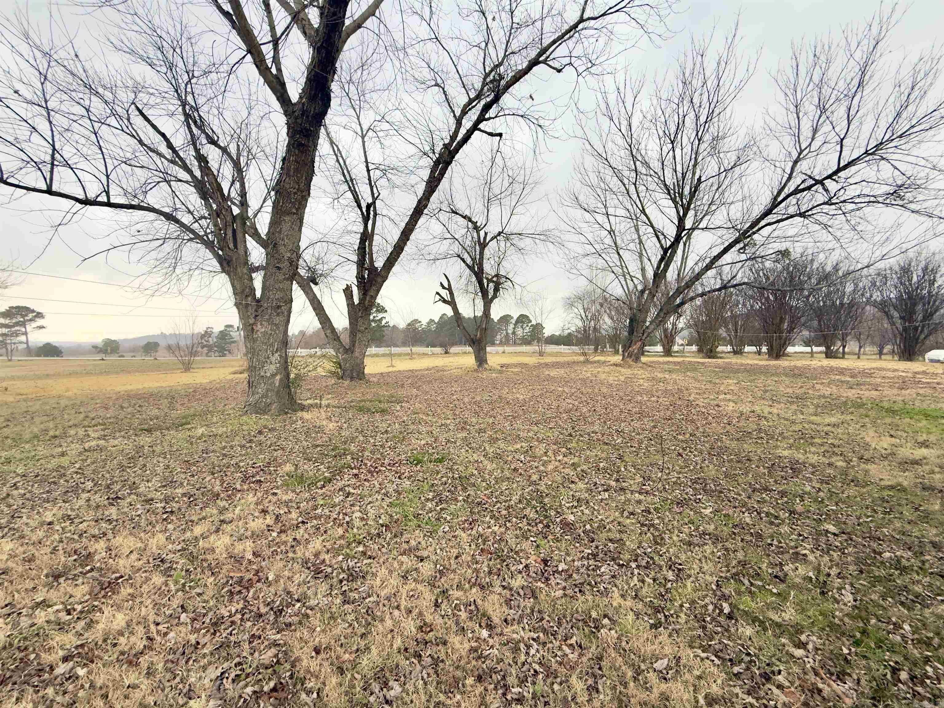 4442 Highway 186 Property Photo 33