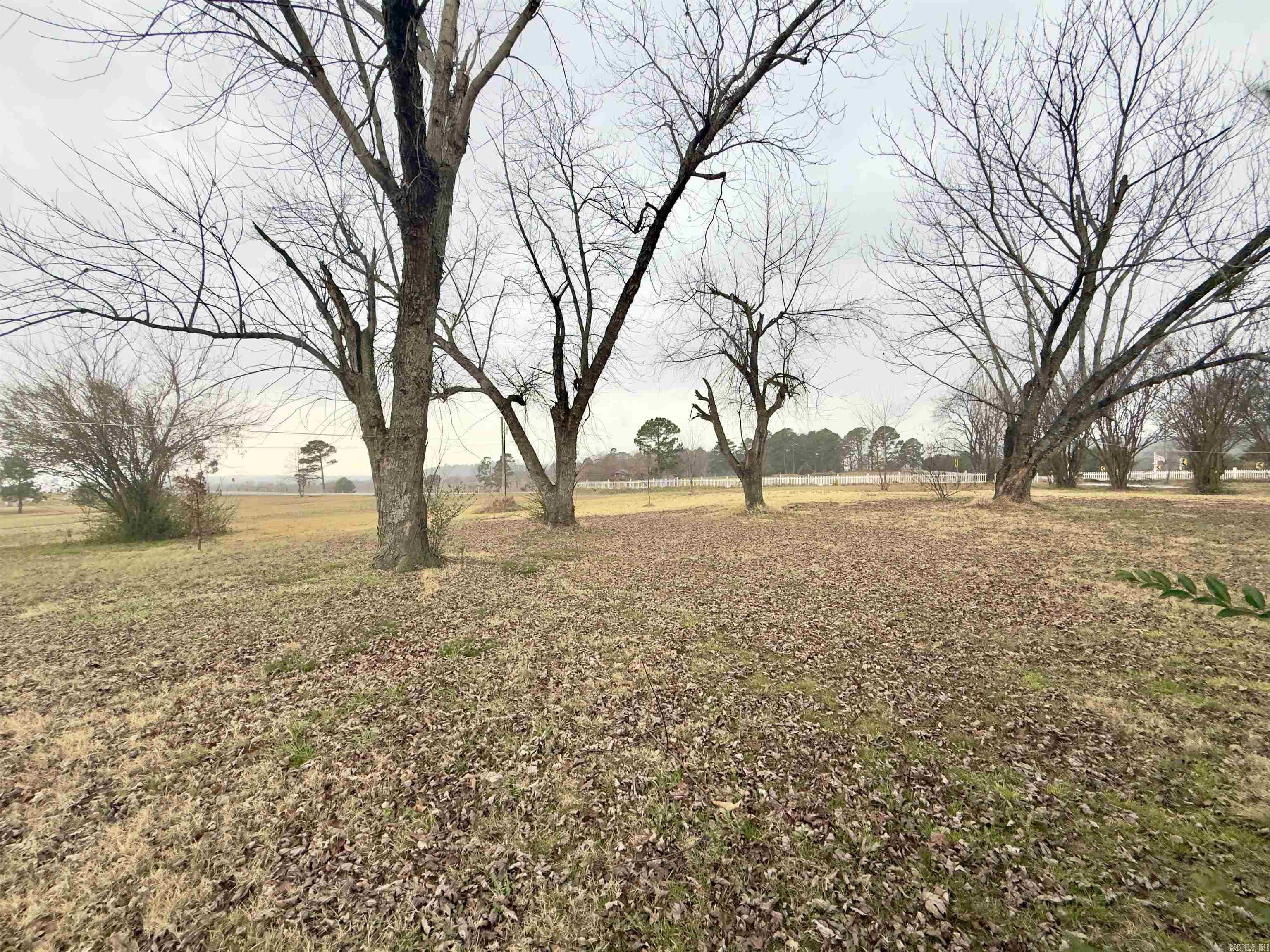 4442 Highway 186 Property Photo 34