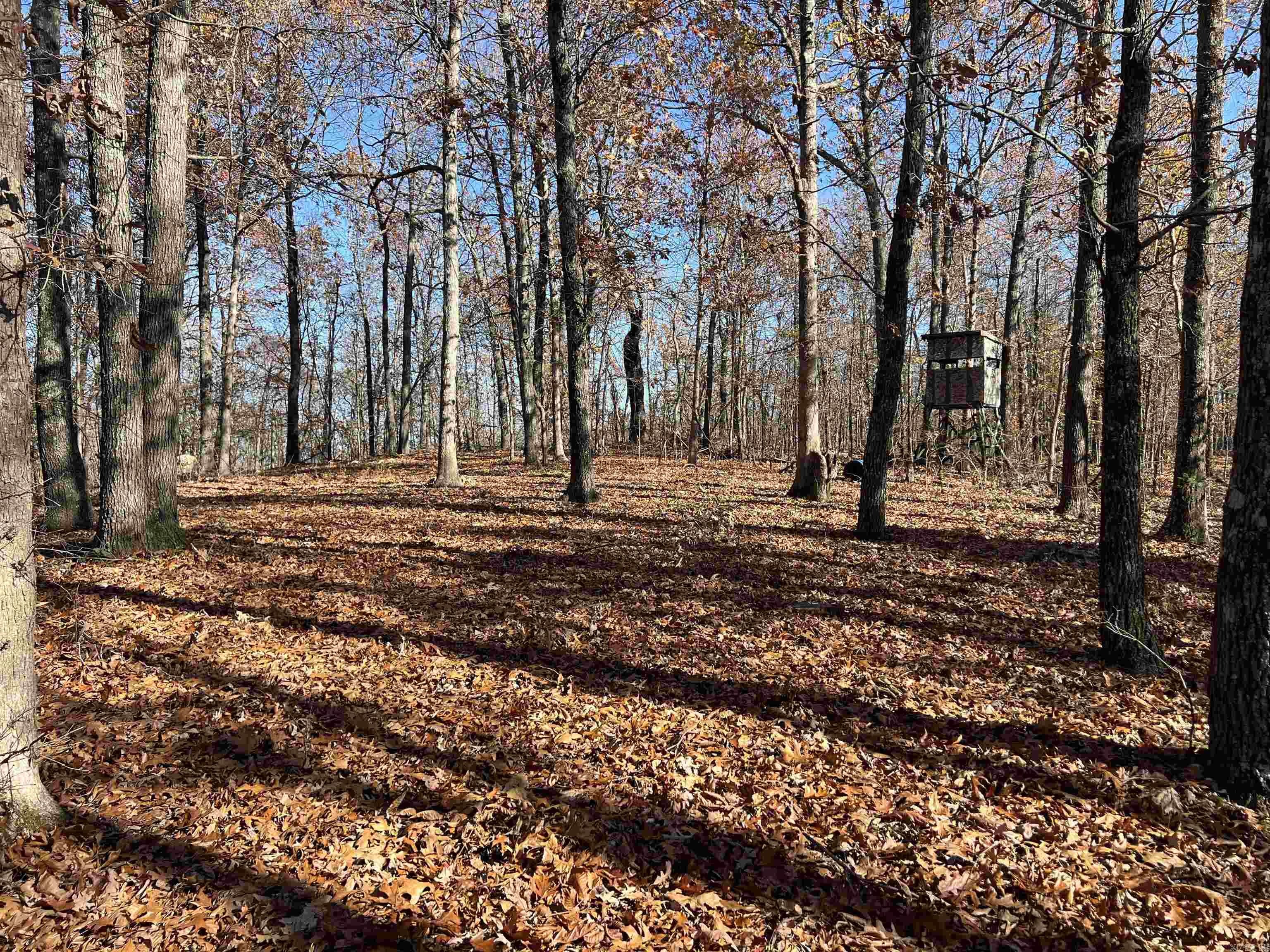 566 Bethany Property Photo 8