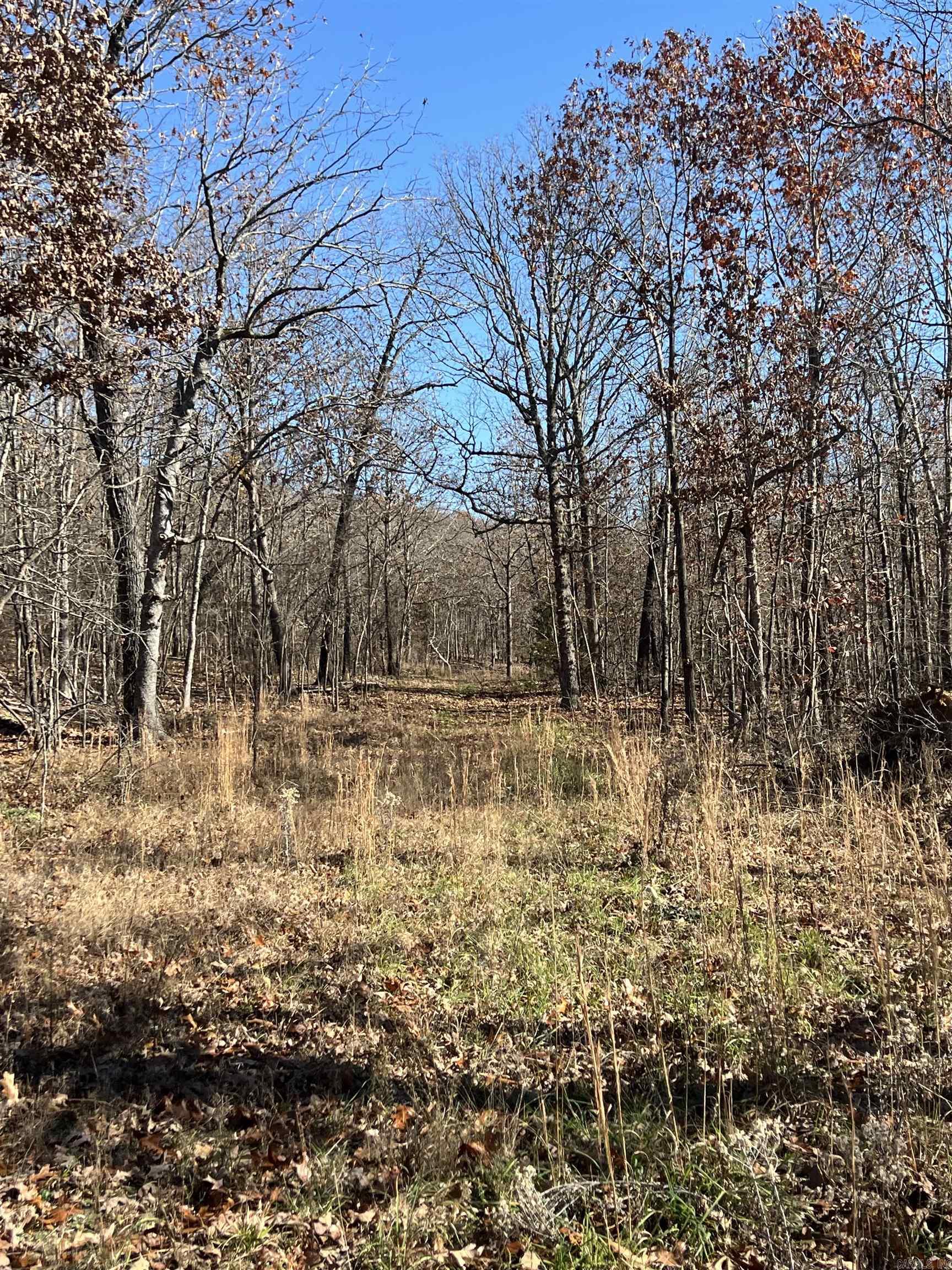 566 Bethany Property Photo 10
