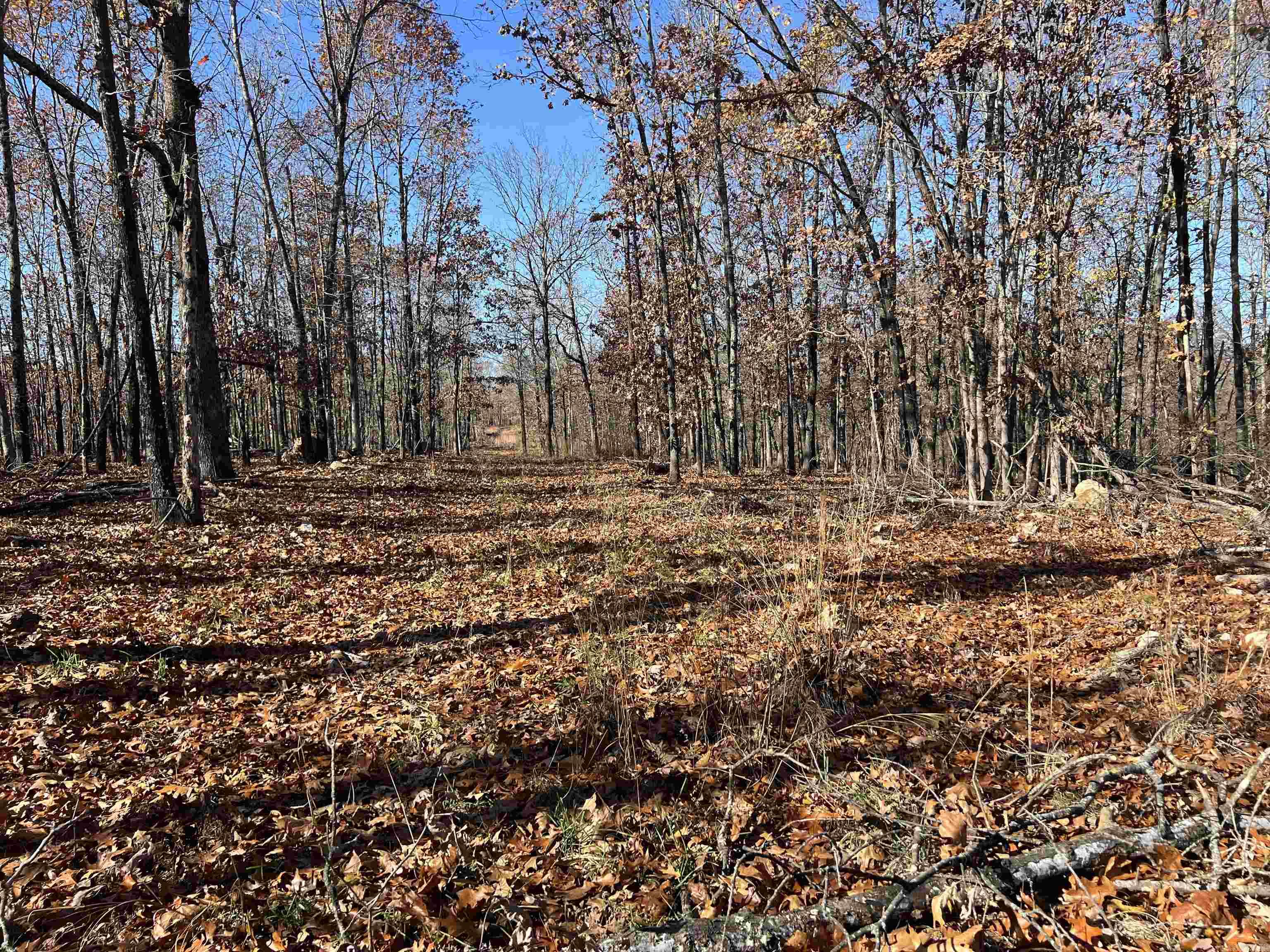 566 Bethany Property Photo 16