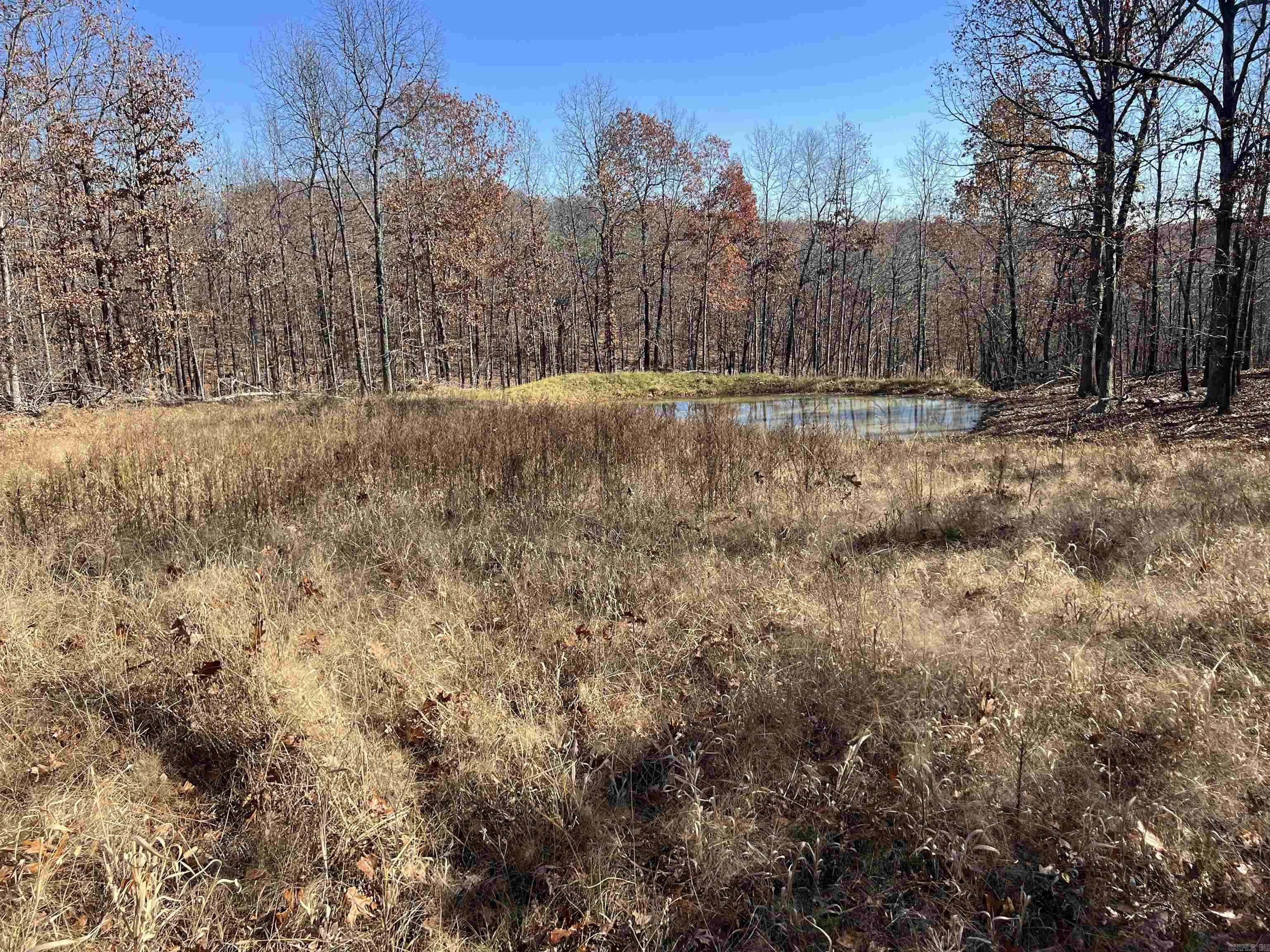 566 Bethany Property Photo 17