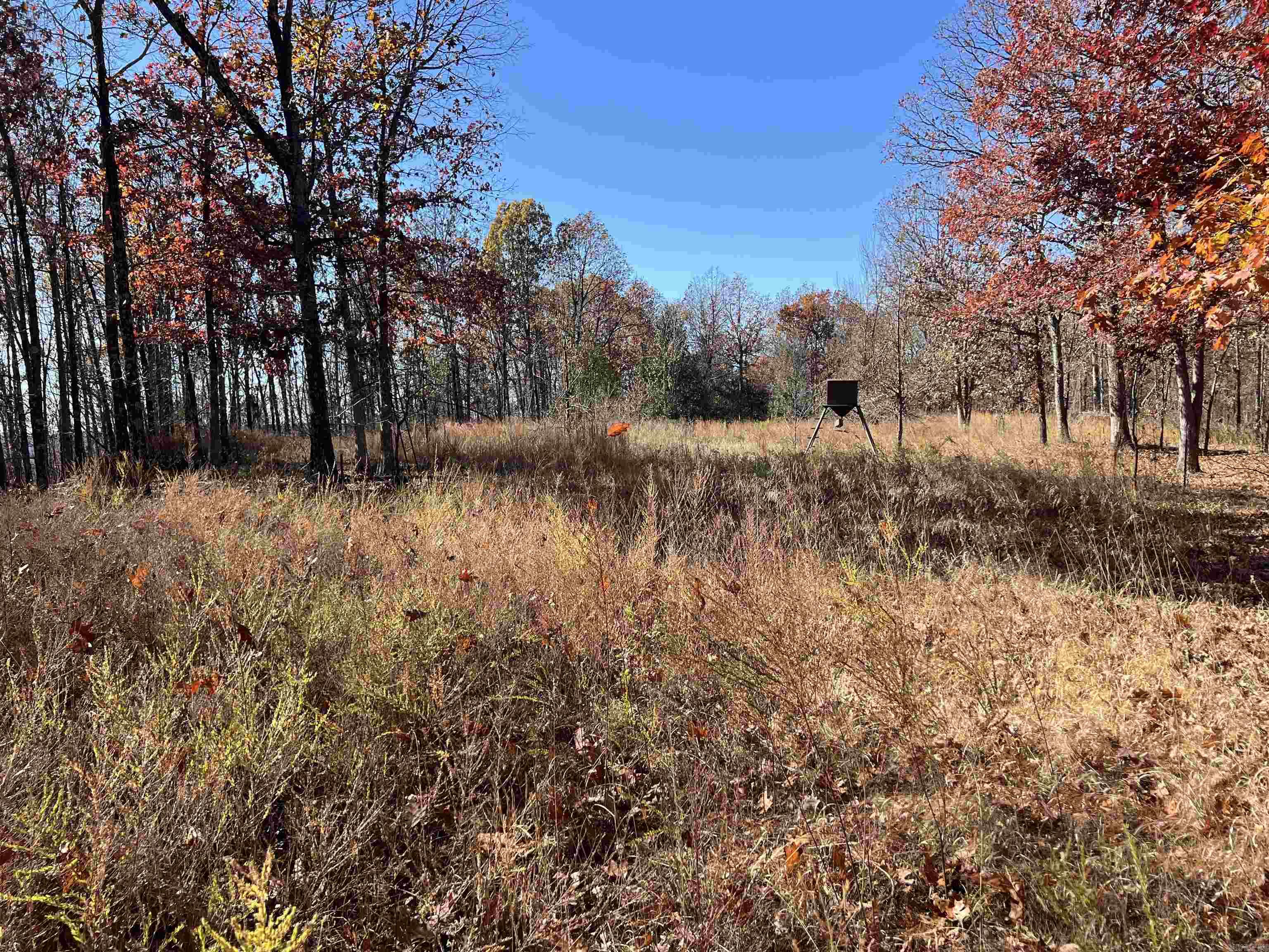 566 Bethany Property Photo 19