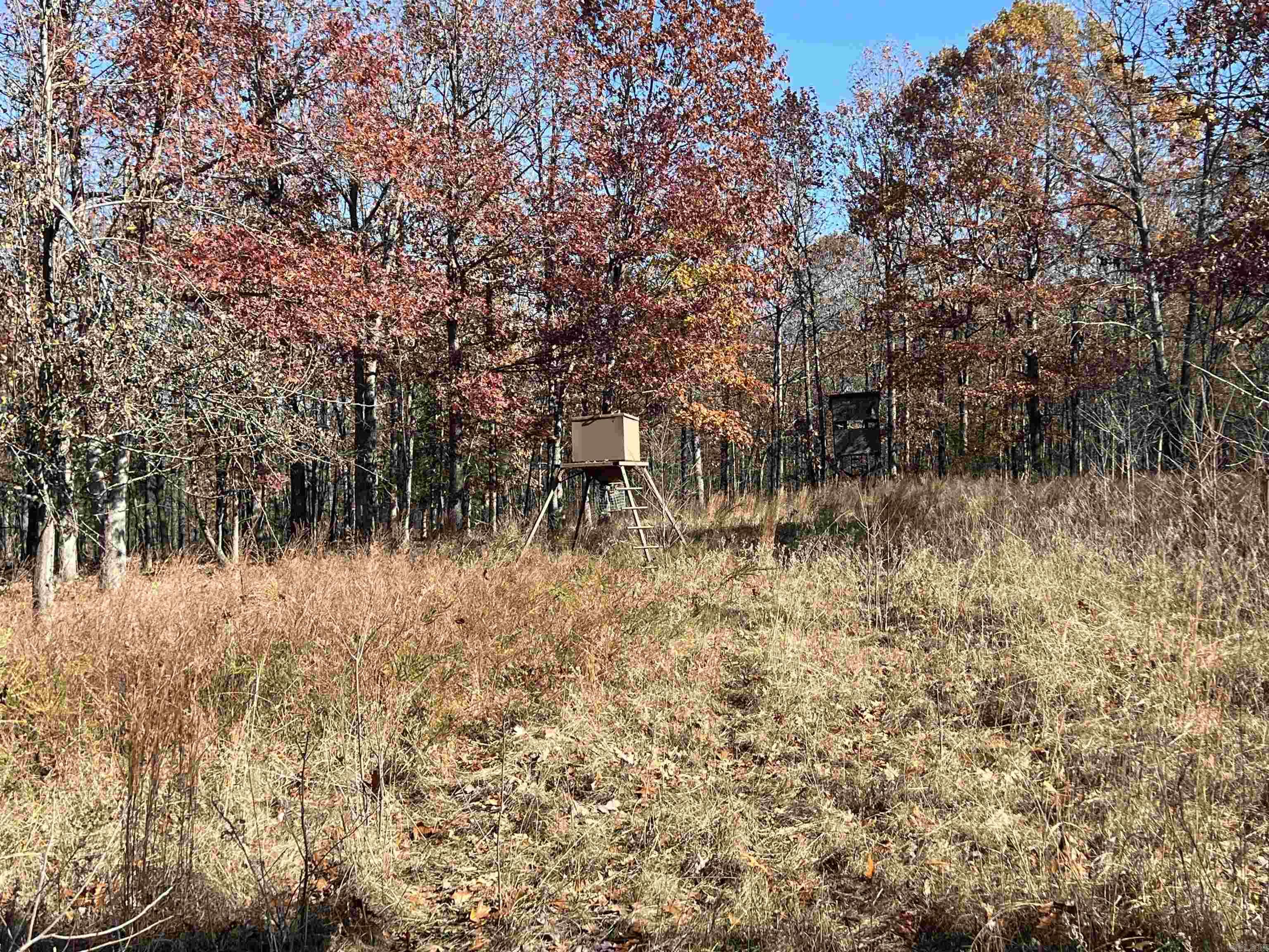 566 Bethany Property Photo 20