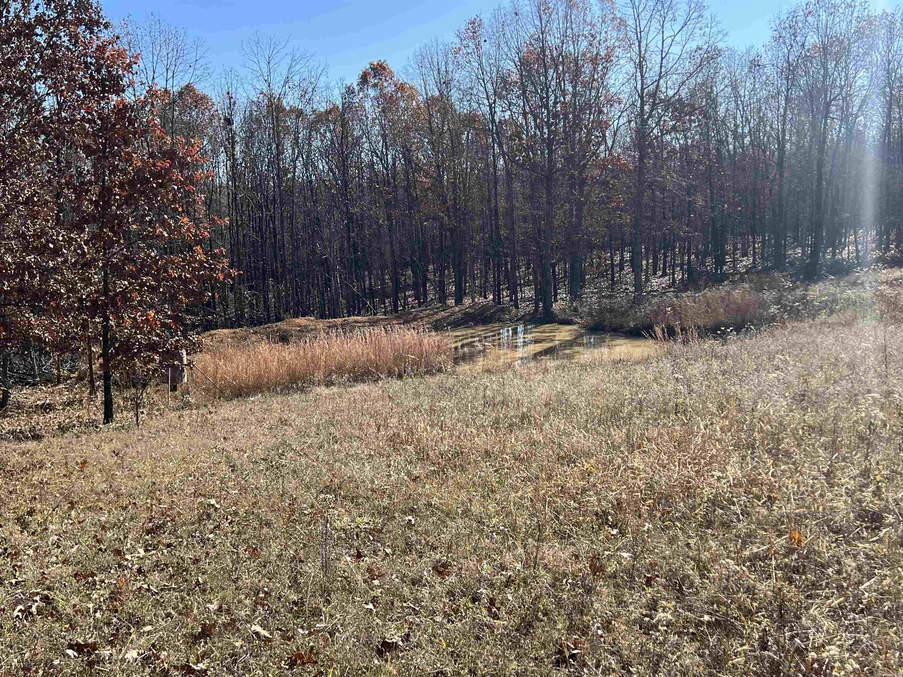 566 Bethany Property Photo 21
