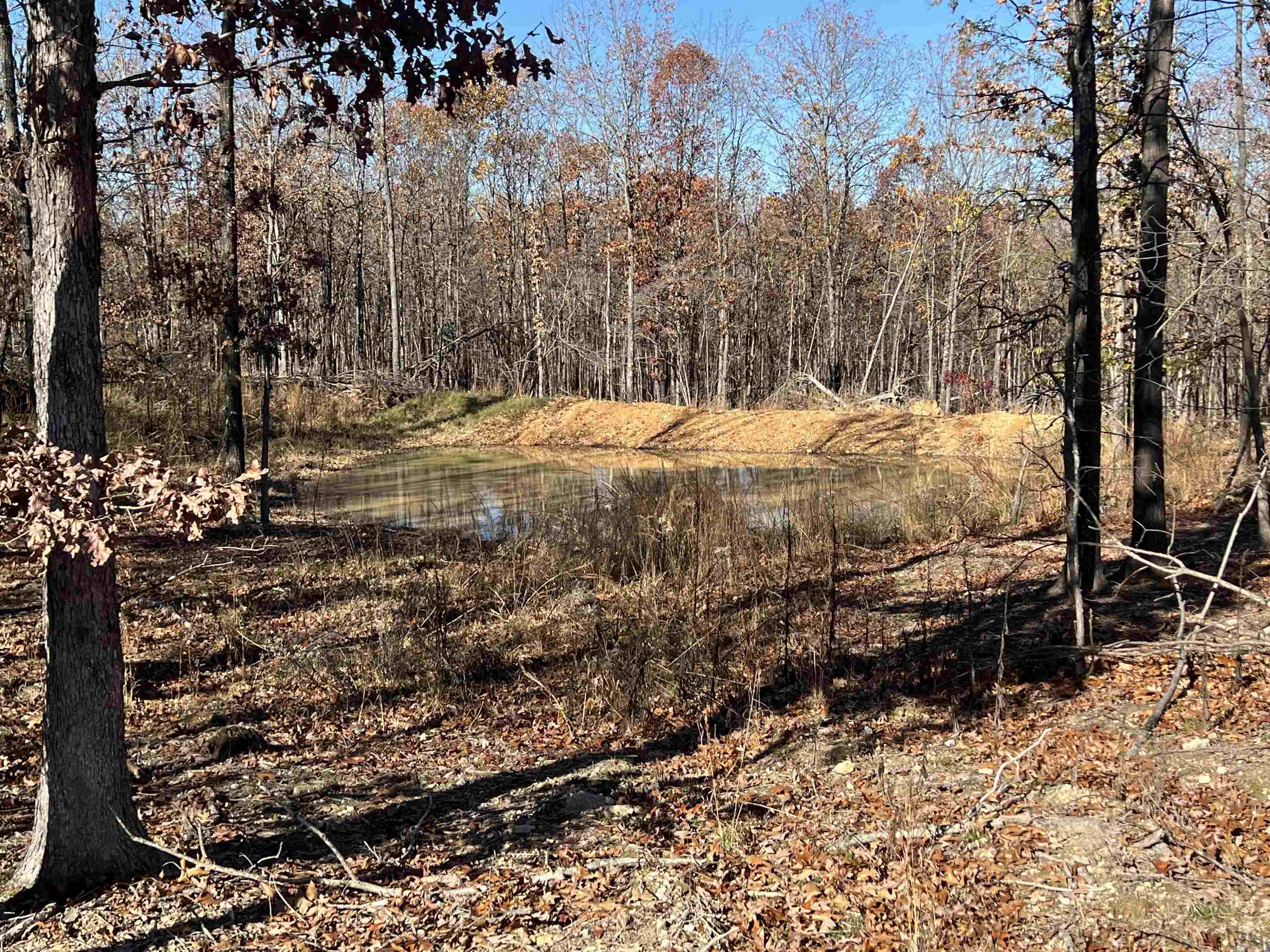 566 Bethany Property Photo 22