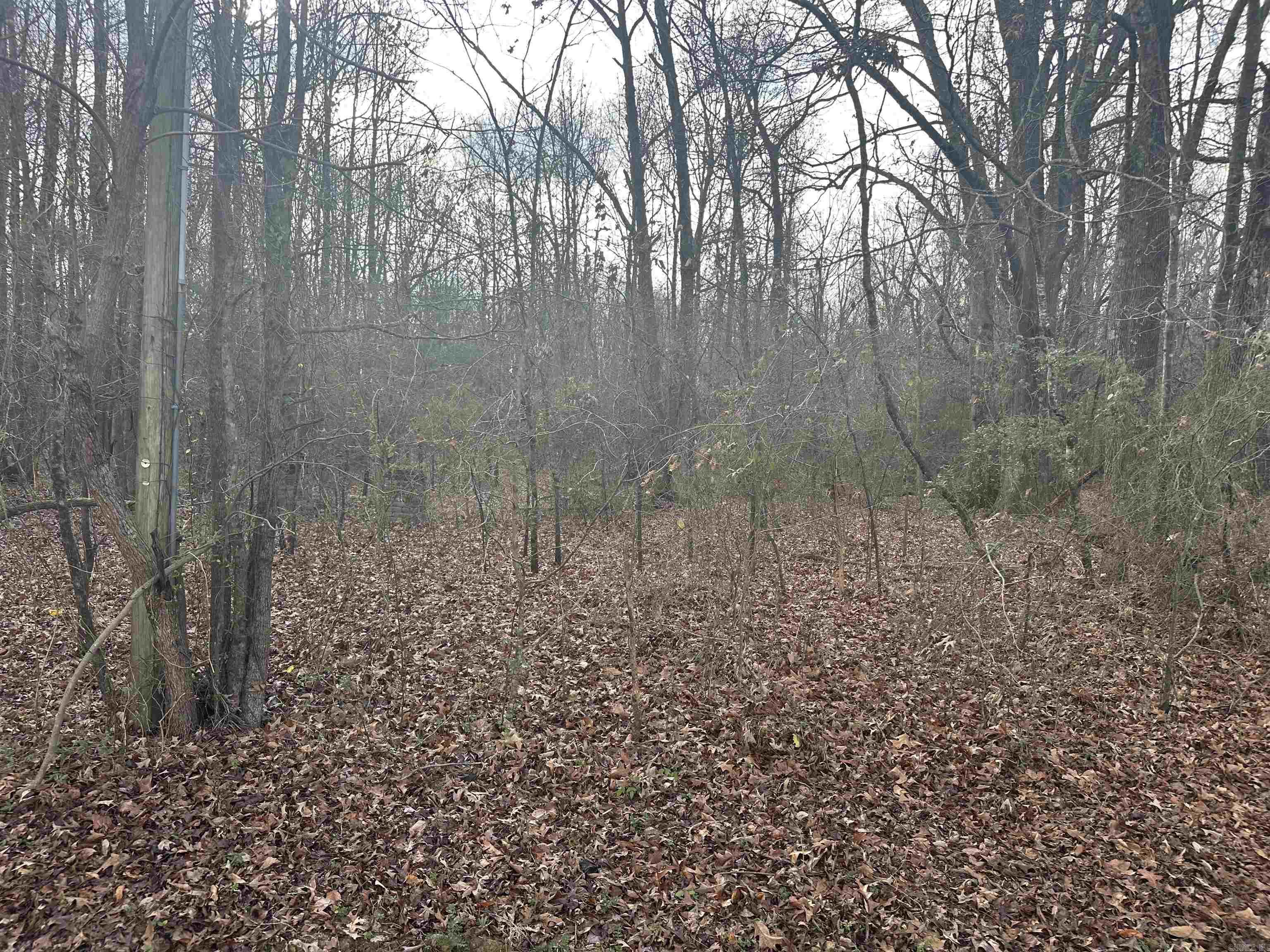 Lots 44 &45 Broadmoor Circle Property Photo 1