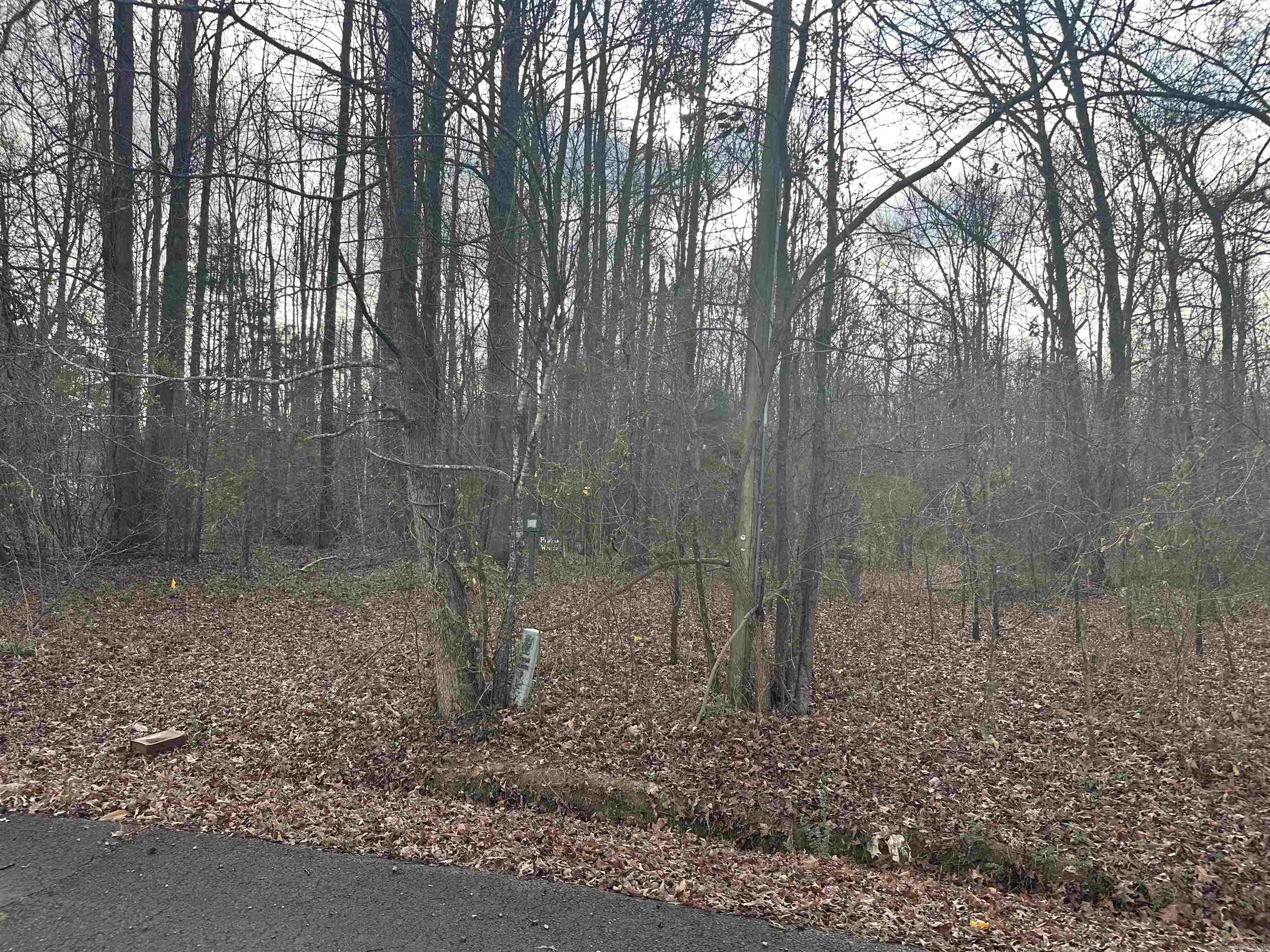Lots 44 &45 Broadmoor Circle Property Photo 2