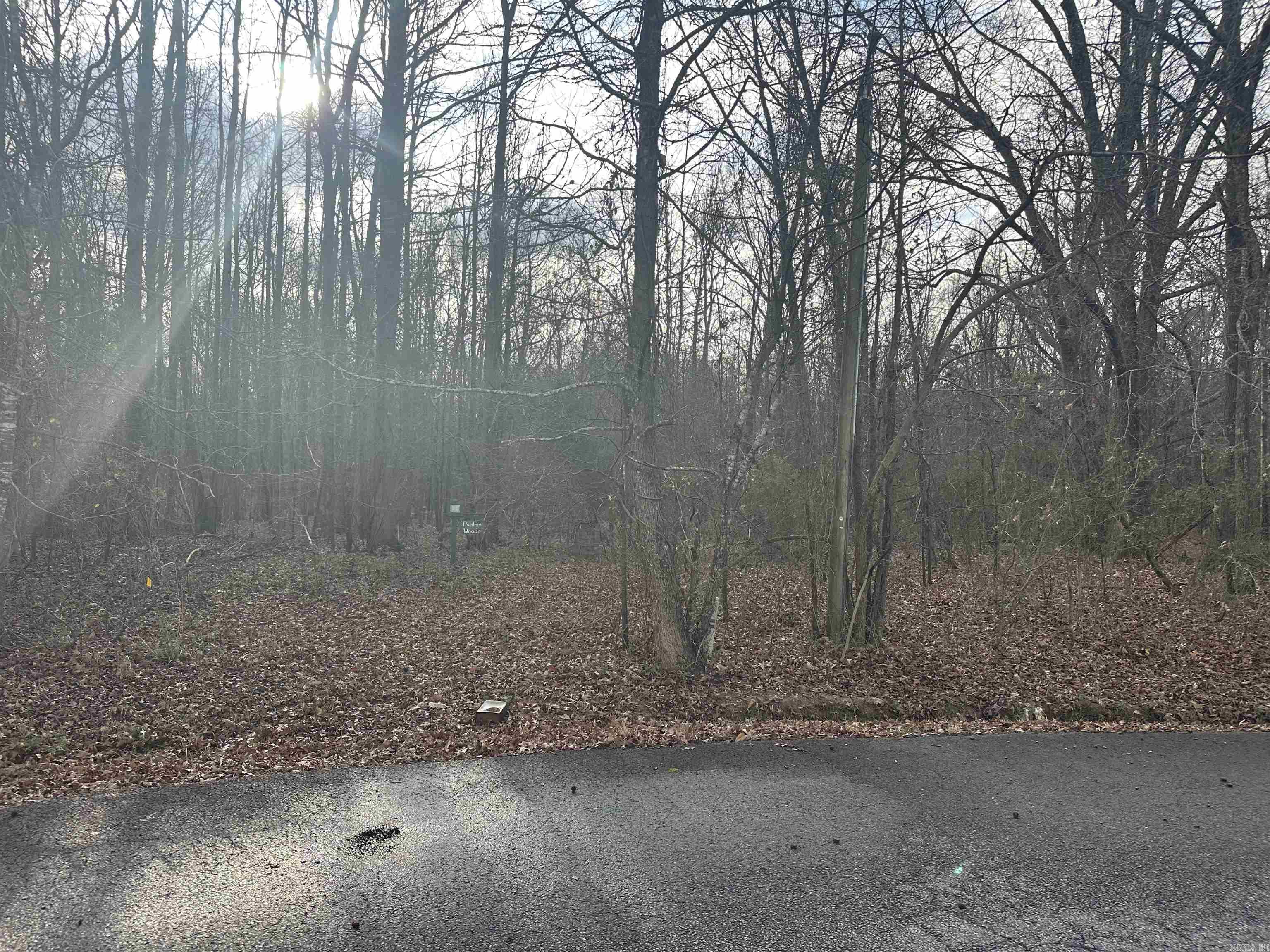 Lots 44 &45 Broadmoor Circle Property Photo 3