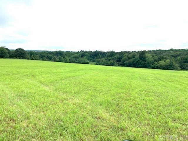 577 Thacker Property Photo 4