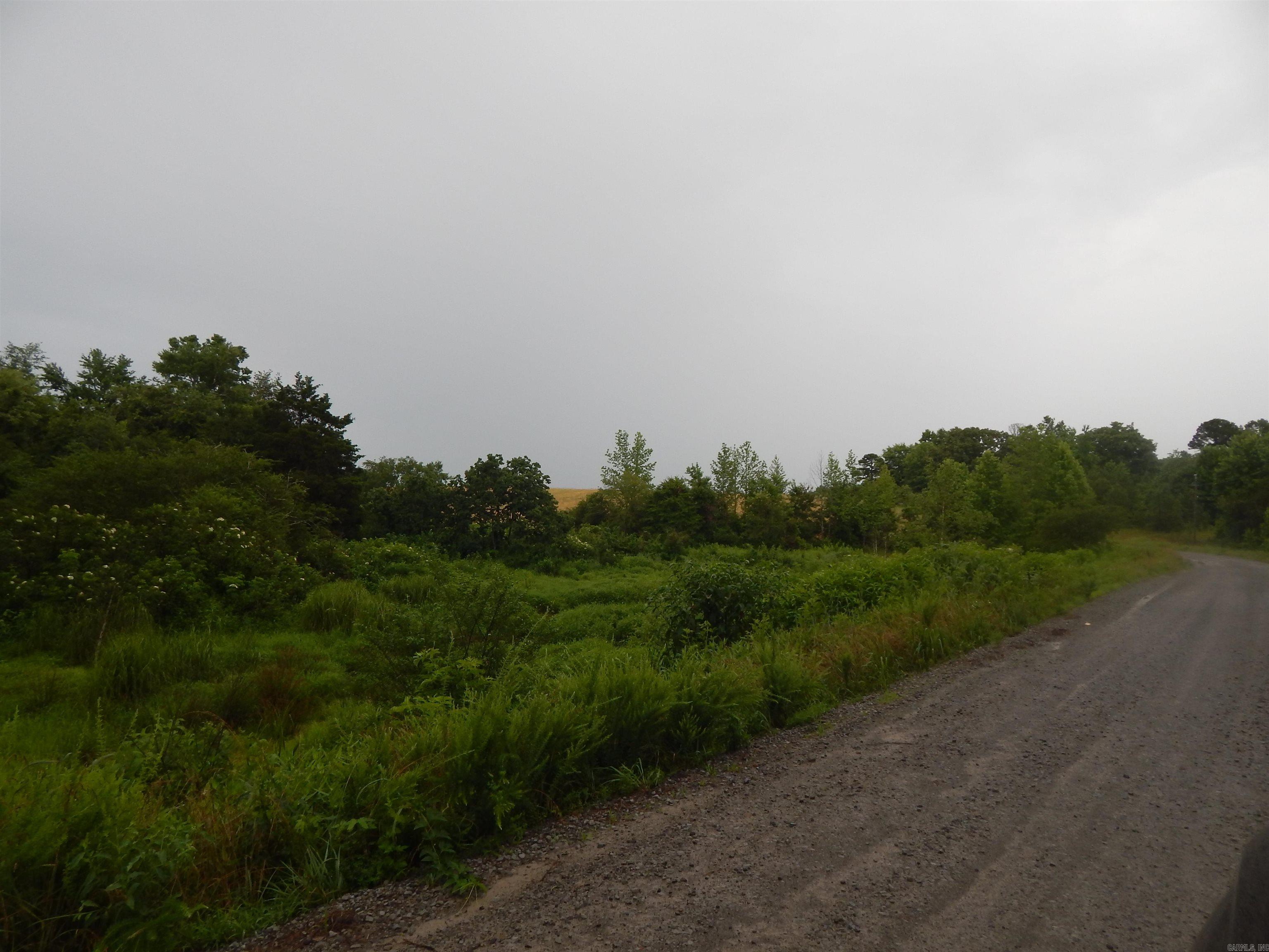 577 Thacker Property Photo 6