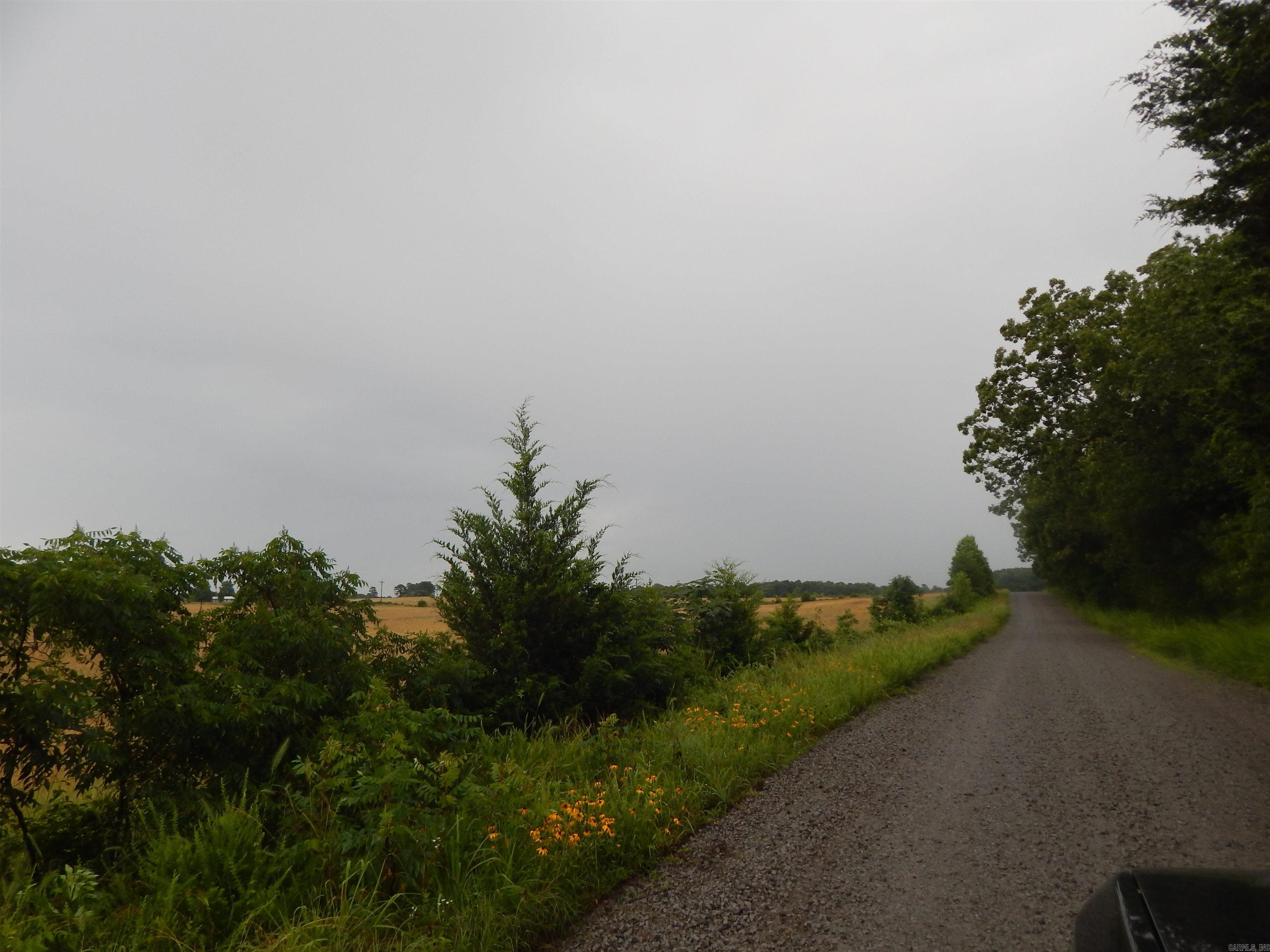 577 Thacker Property Photo 11