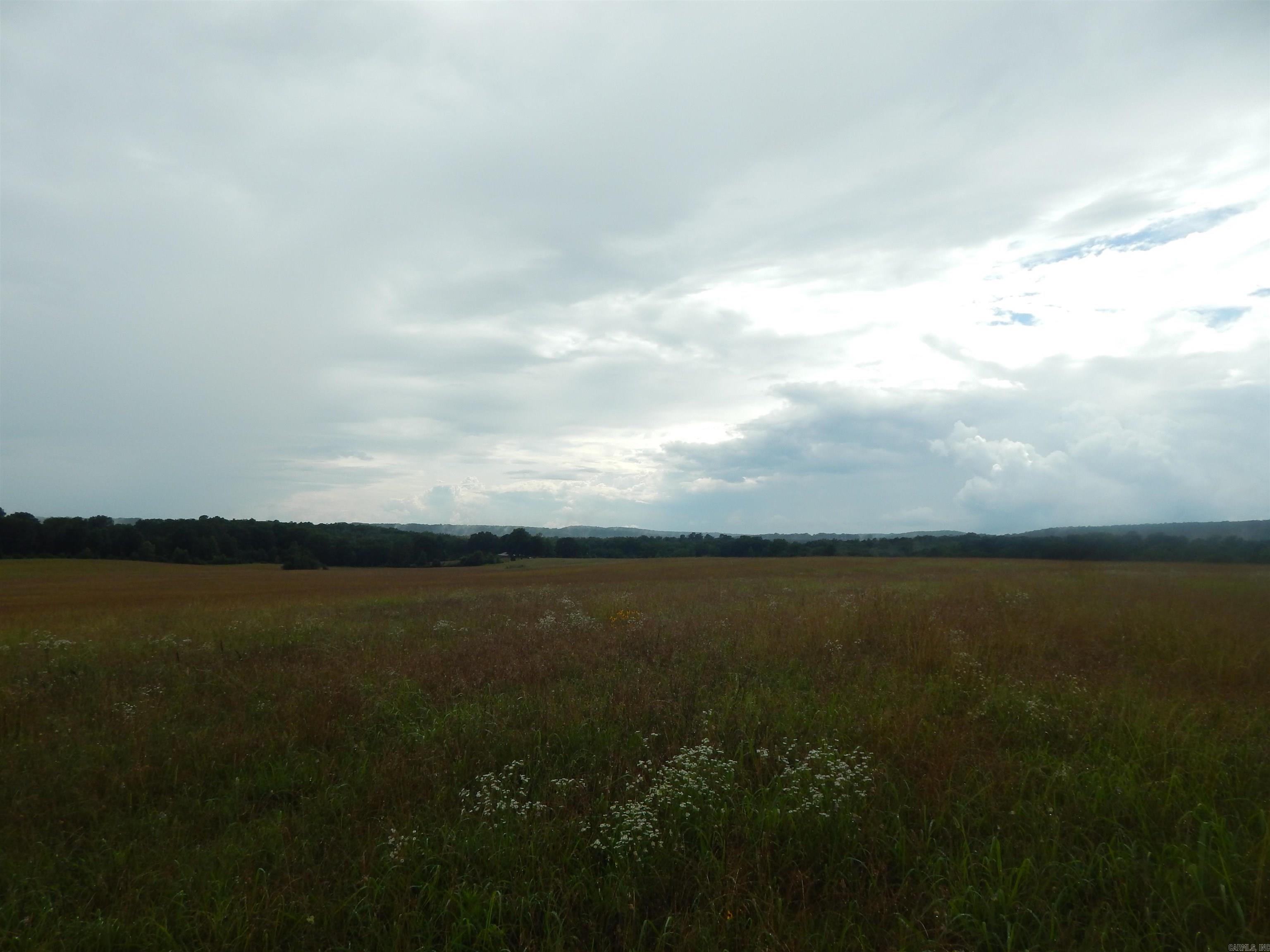 577 Thacker Property Photo 12