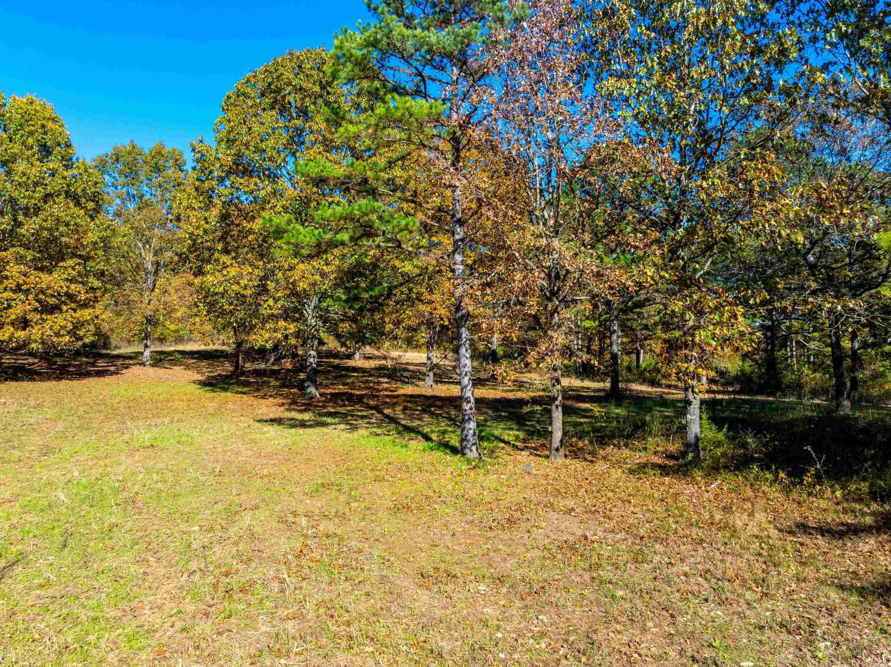 55, 65, & 125 B Rock Ln Property Photo 10