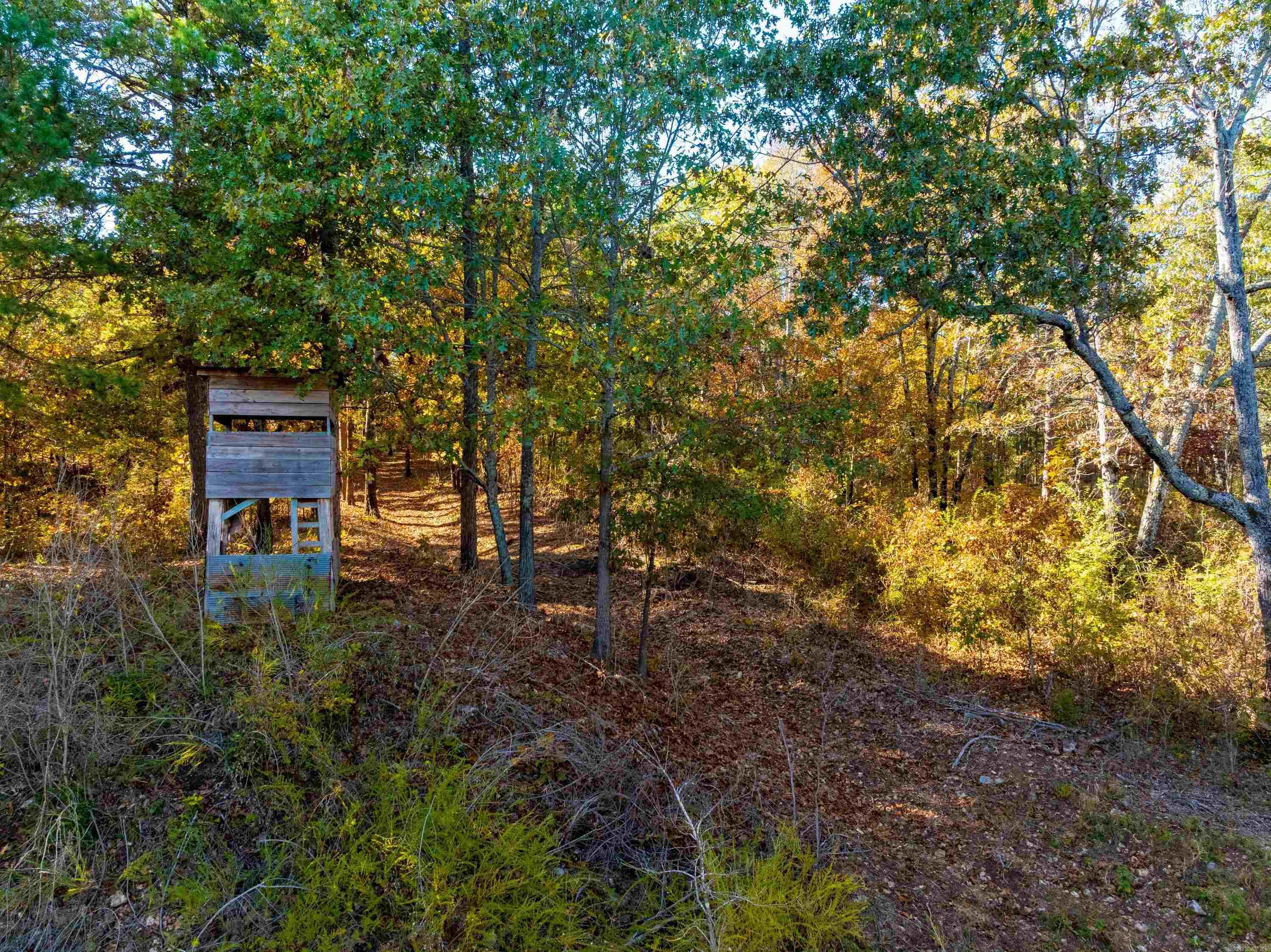 55, 65, & 125 B Rock Ln Property Photo 40