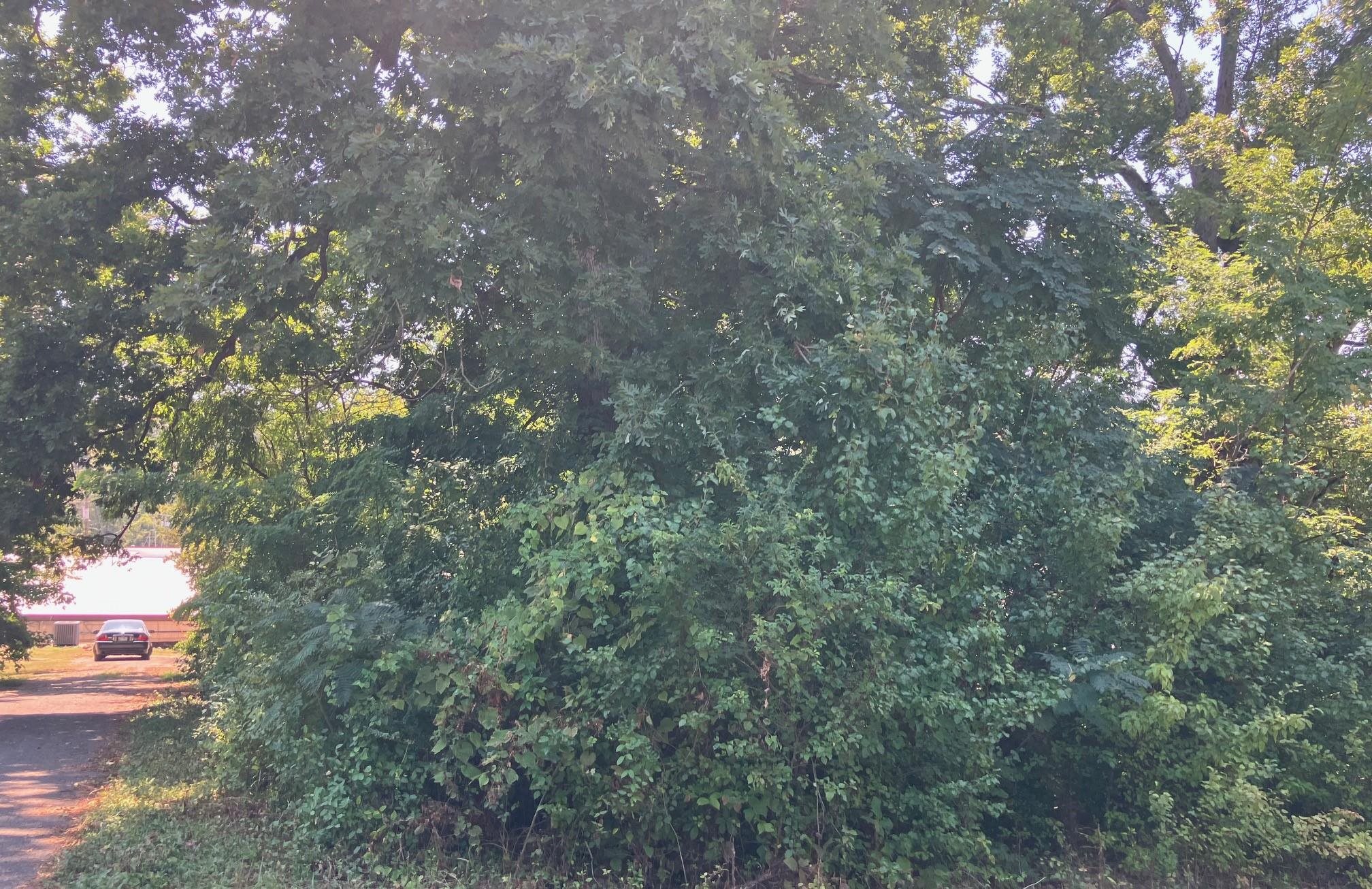 Tbd Church Street Property Photo 5
