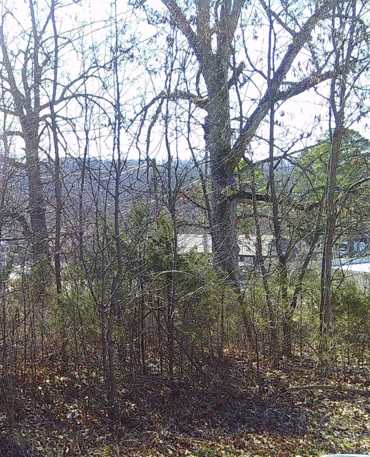 Tbd Church Street Property Photo 6