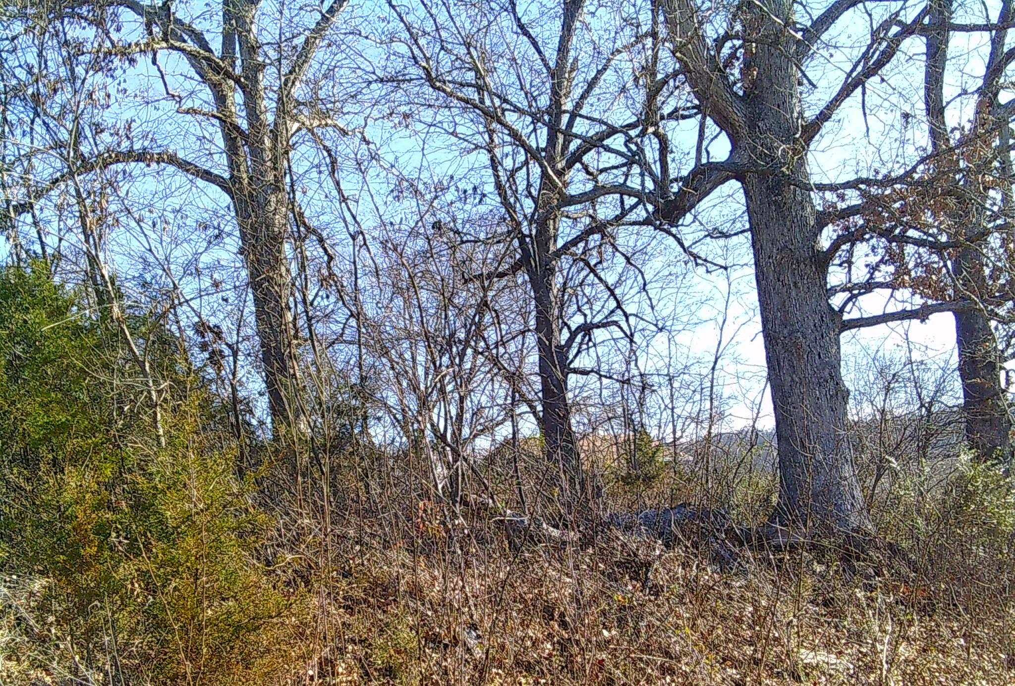 Tbd Church Street Property Photo 7