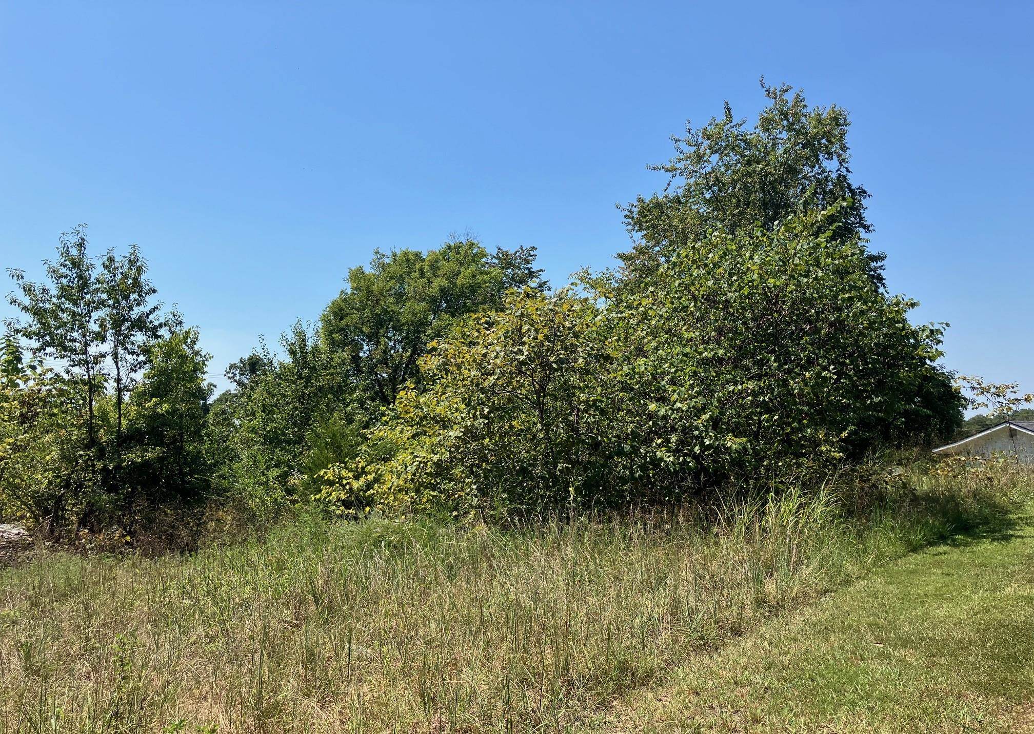 1942 Hwy 63 E Property Photo 1