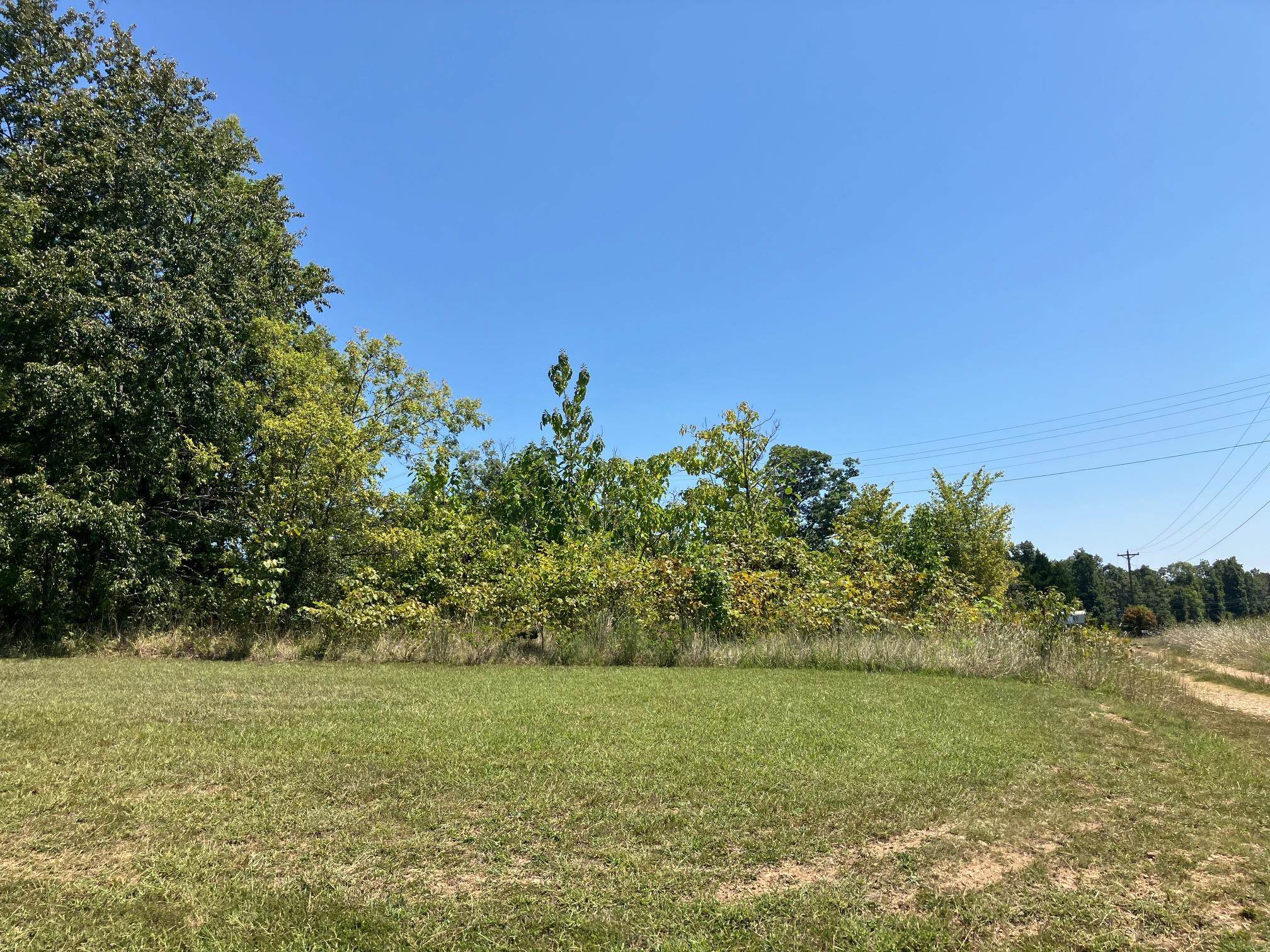 1942 Hwy 63 E Property Photo 6