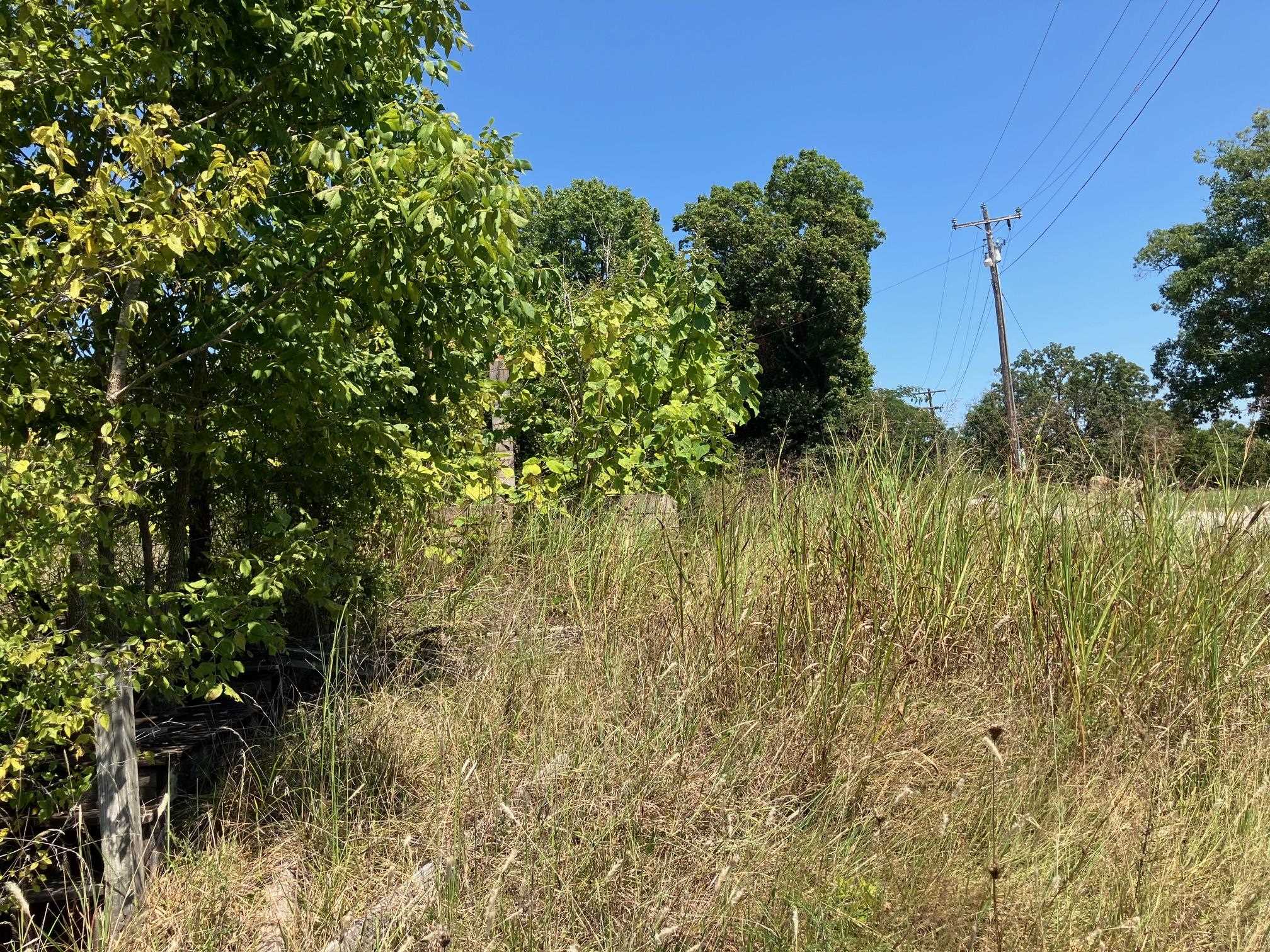 1942 Hwy 63 E Property Photo 10
