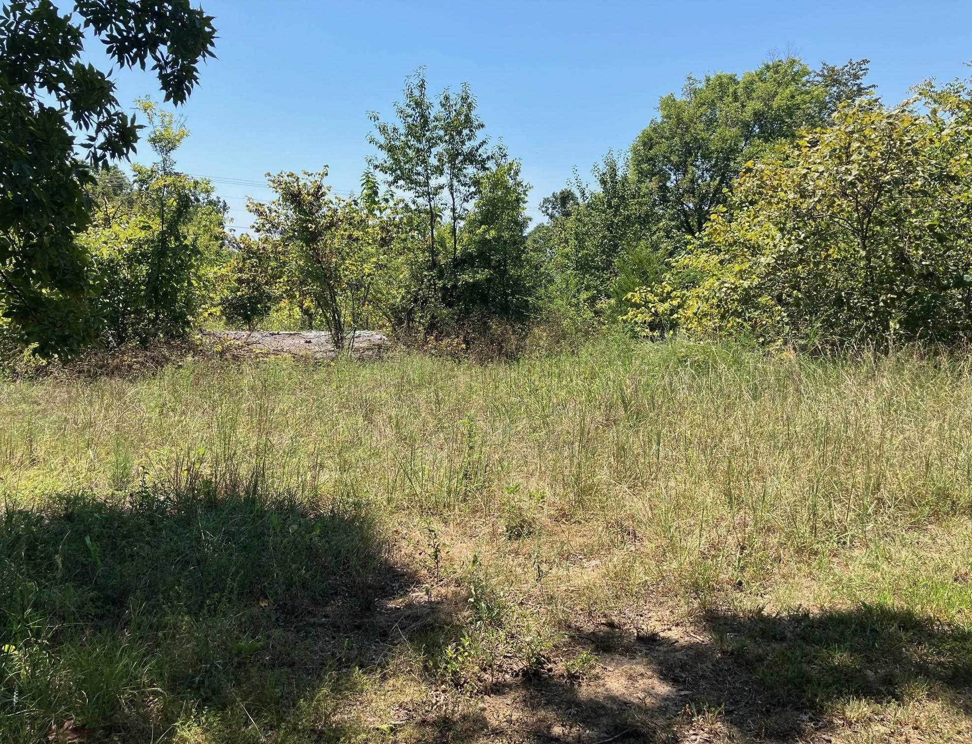 1942 Hwy 63 E Property Photo 12