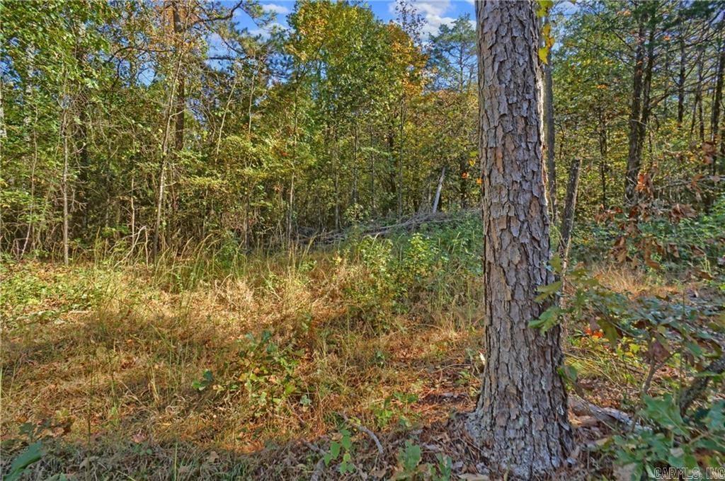 Lot 6 Melvin Ln. Property Photo 3