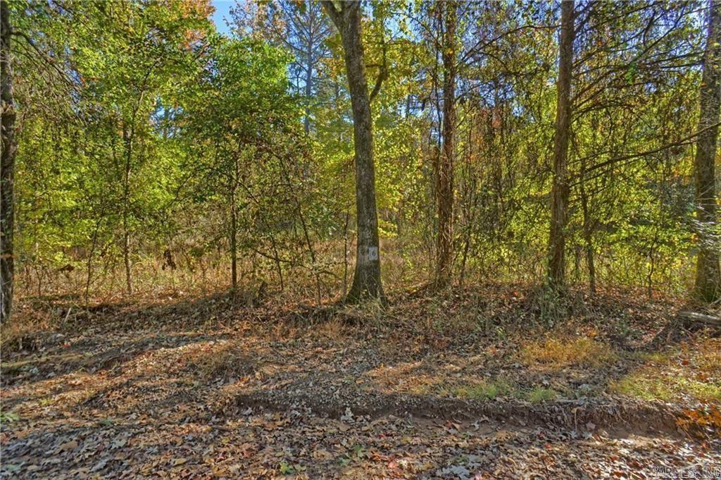 Lot 6 Melvin Ln. Property Photo 4