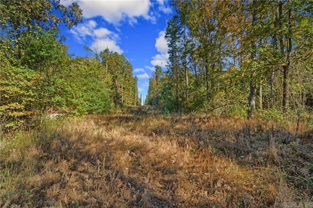 Lot 6 Melvin Ln. Property Photo 5