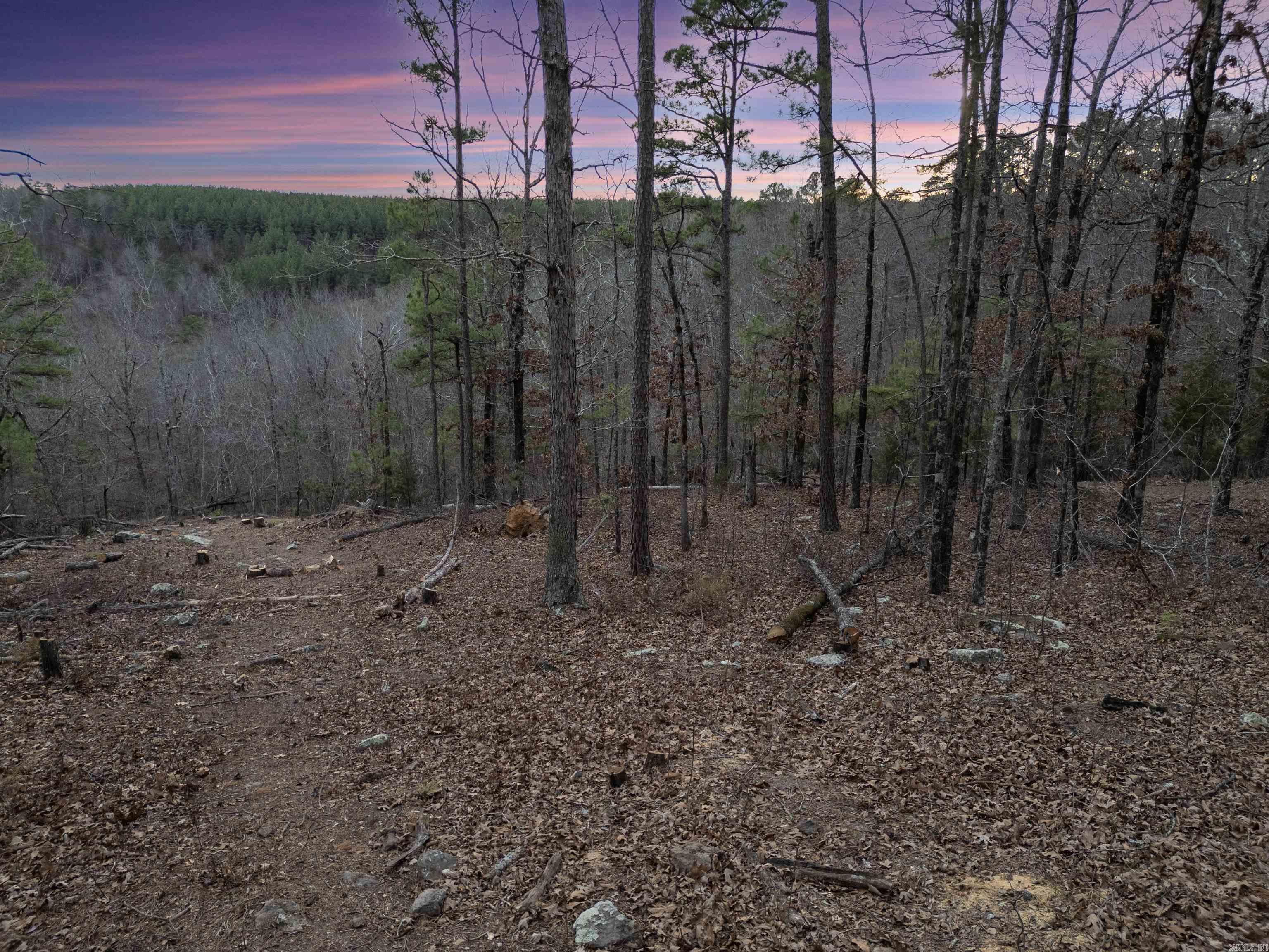 000 Timberline Drive Property Photo 2