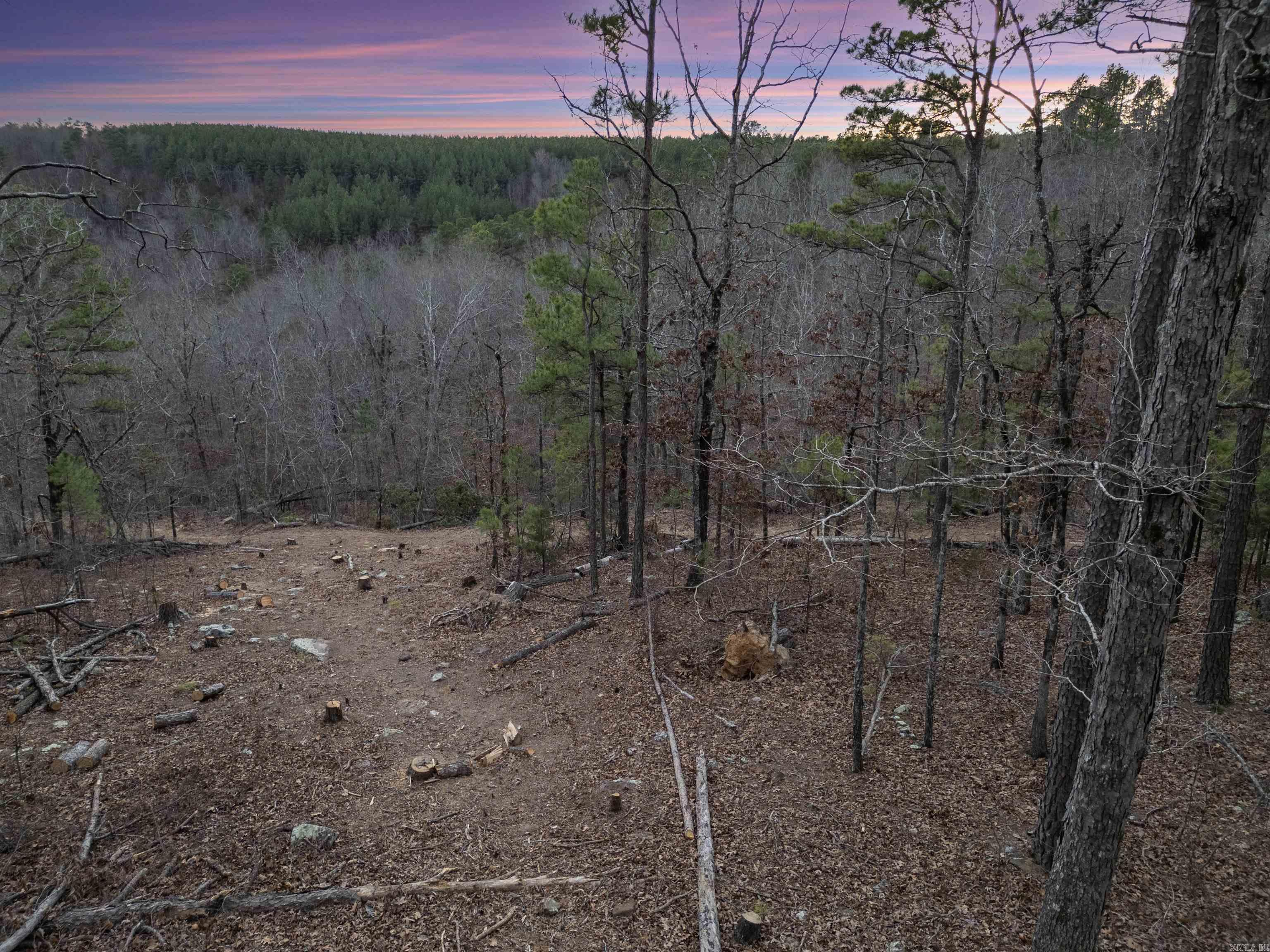 000 Timberline Drive Property Photo 3