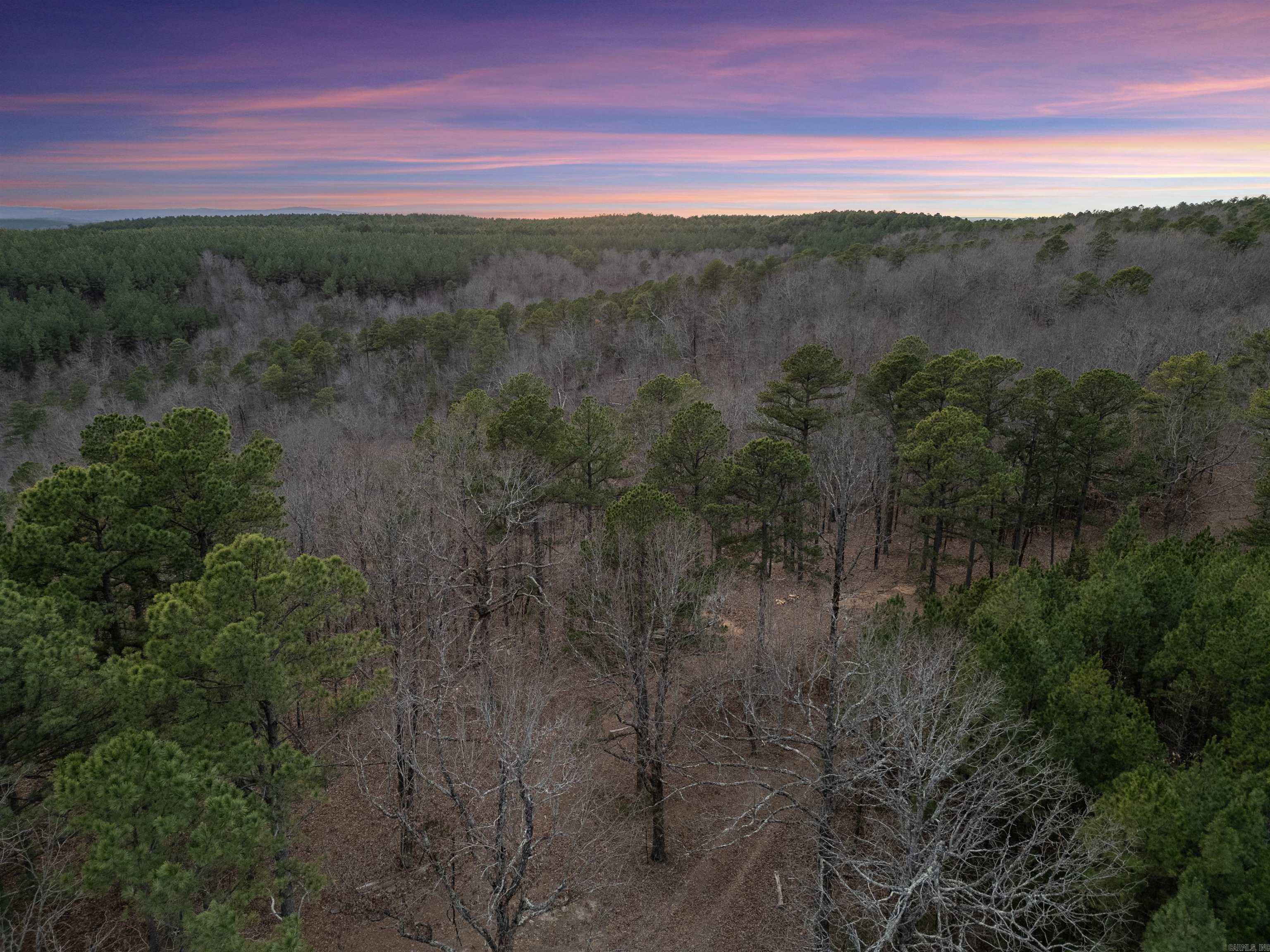 000 Timberline Drive Property Photo 6