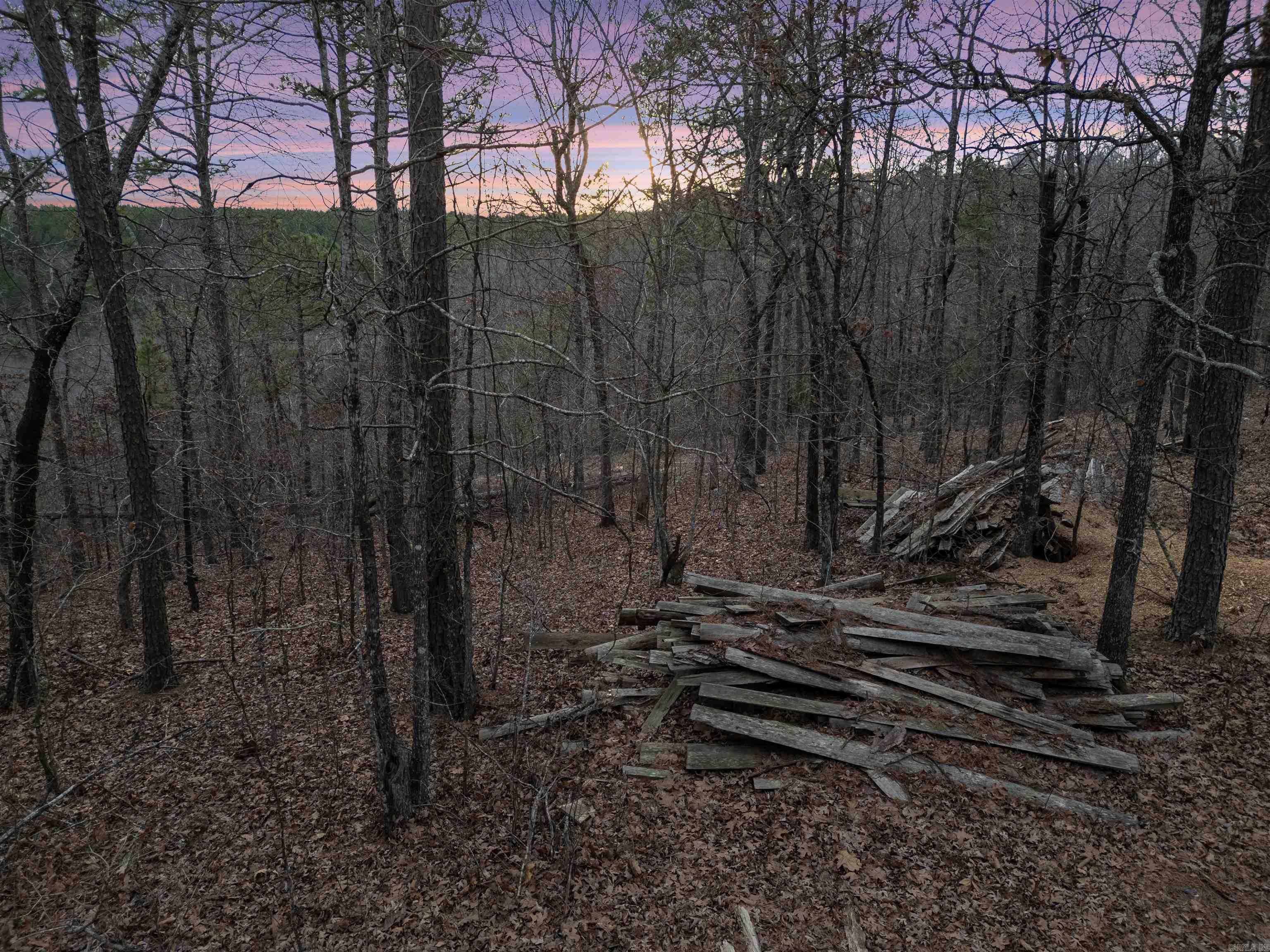 000 Timberline Drive Property Photo 7