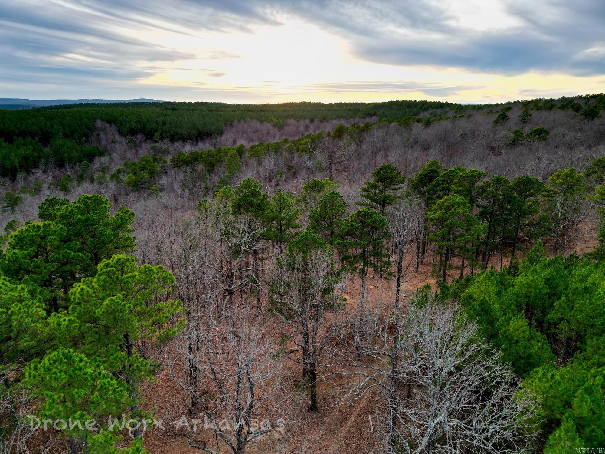 000 Timberline Drive Property Photo 8
