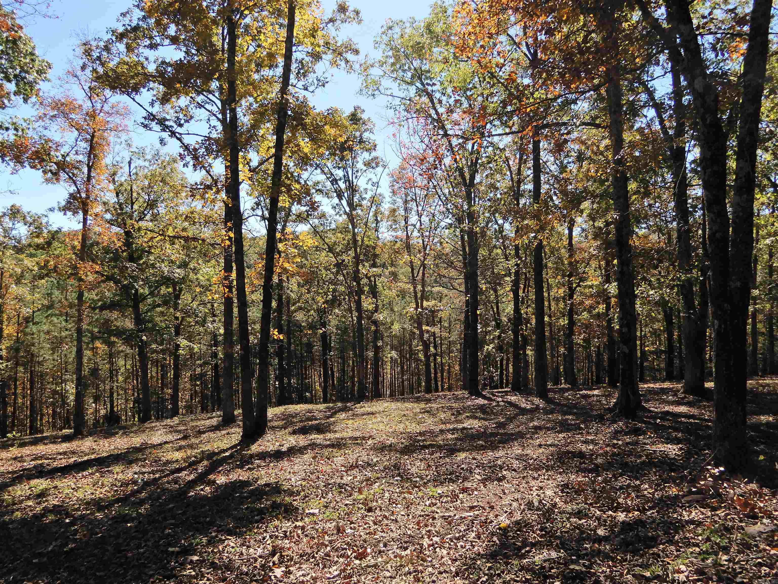 Lot 33, 34 & 35 Watersedge Drive Property Photo 3