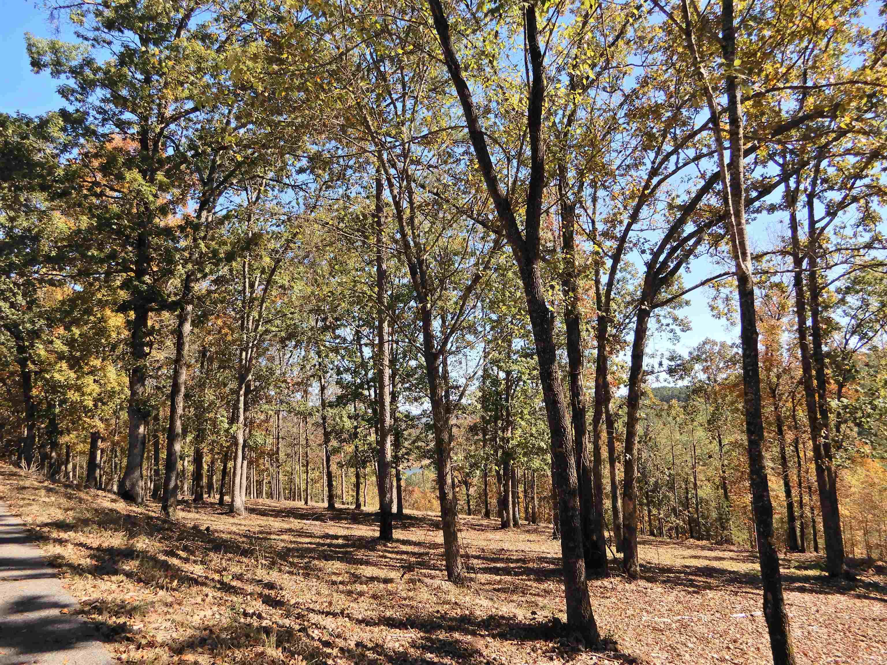 Lot 33, 34 & 35 Watersedge Drive Property Photo 5