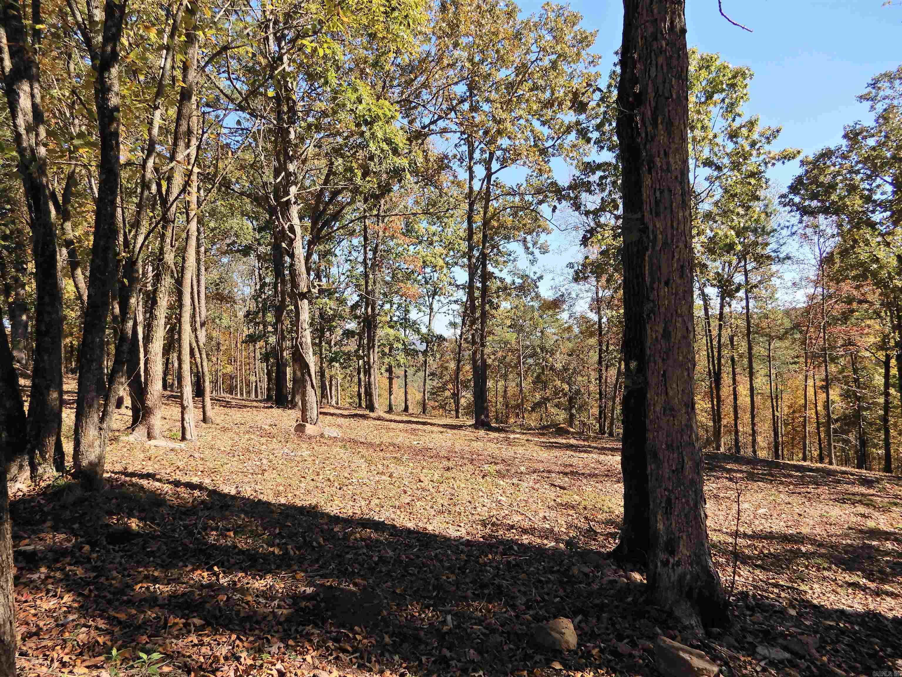 Lot 33, 34 & 35 Watersedge Drive Property Photo 6