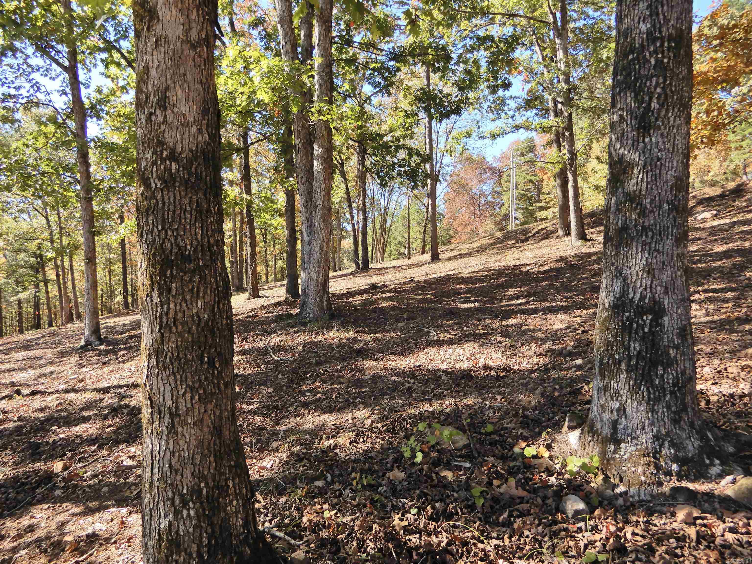 Lot 33, 34 & 35 Watersedge Drive Property Photo 7