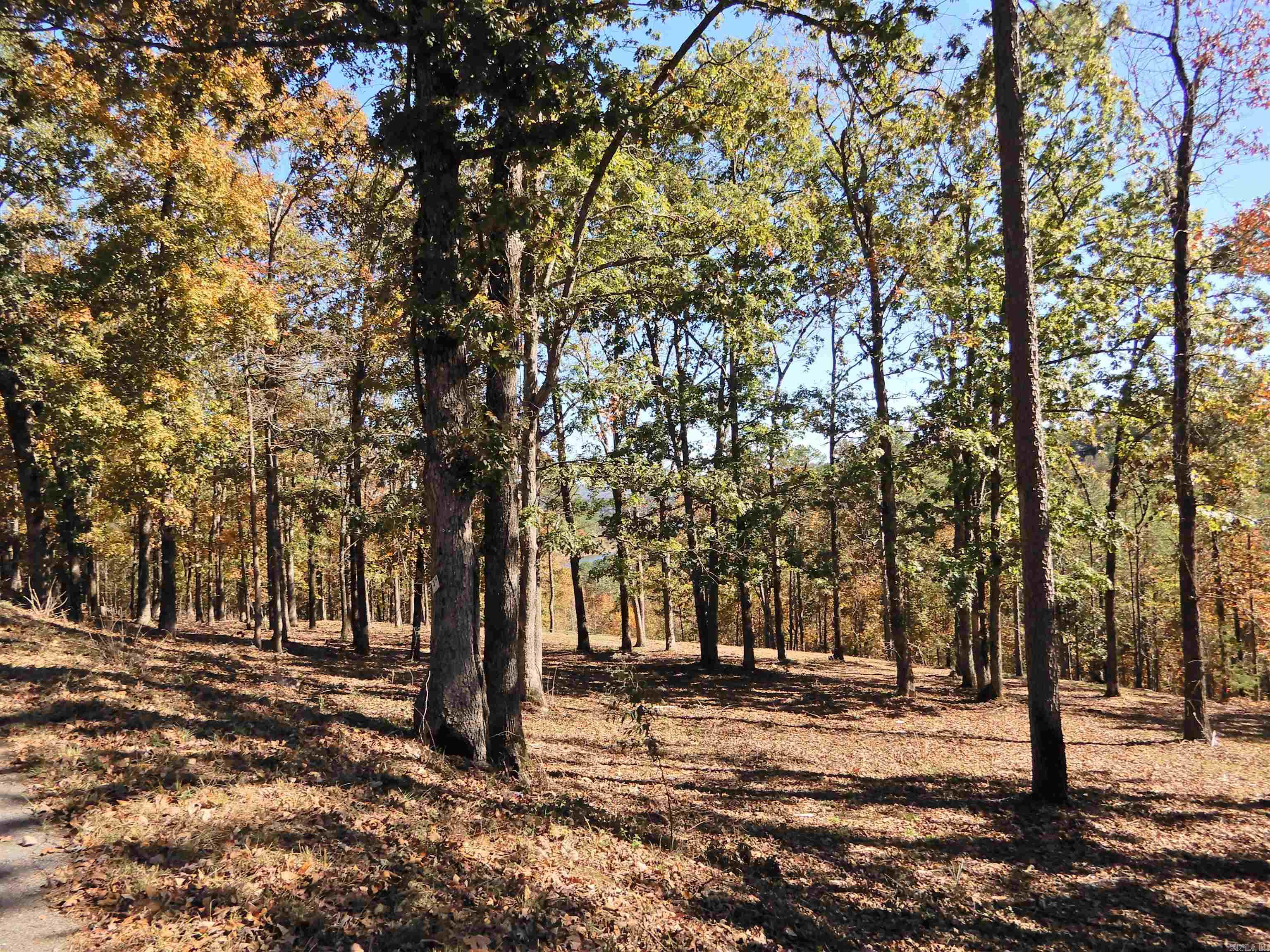 Lot 33, 34 & 35 Watersedge Drive Property Photo 9