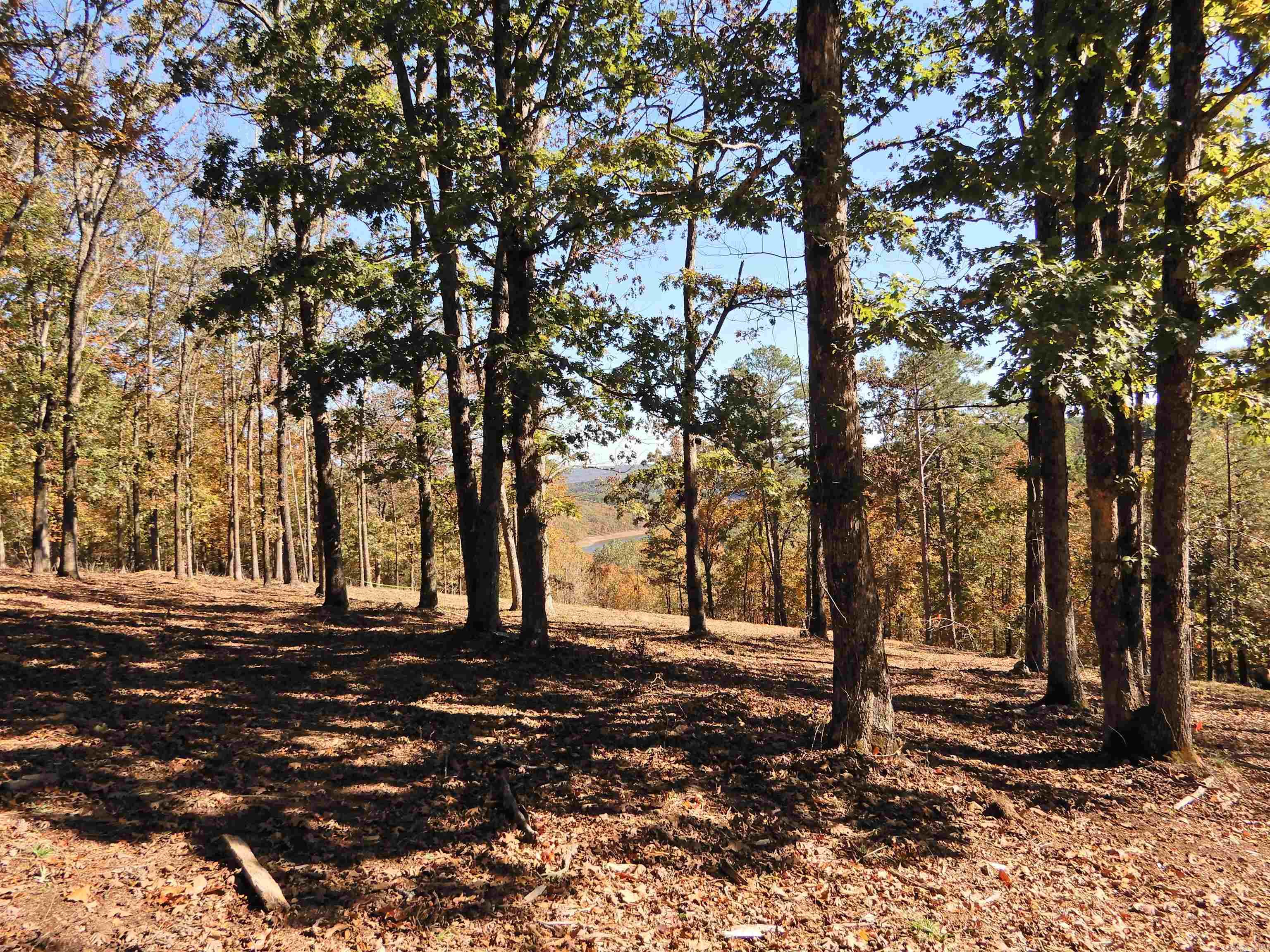 Lot 33, 34 & 35 Watersedge Drive Property Photo 10