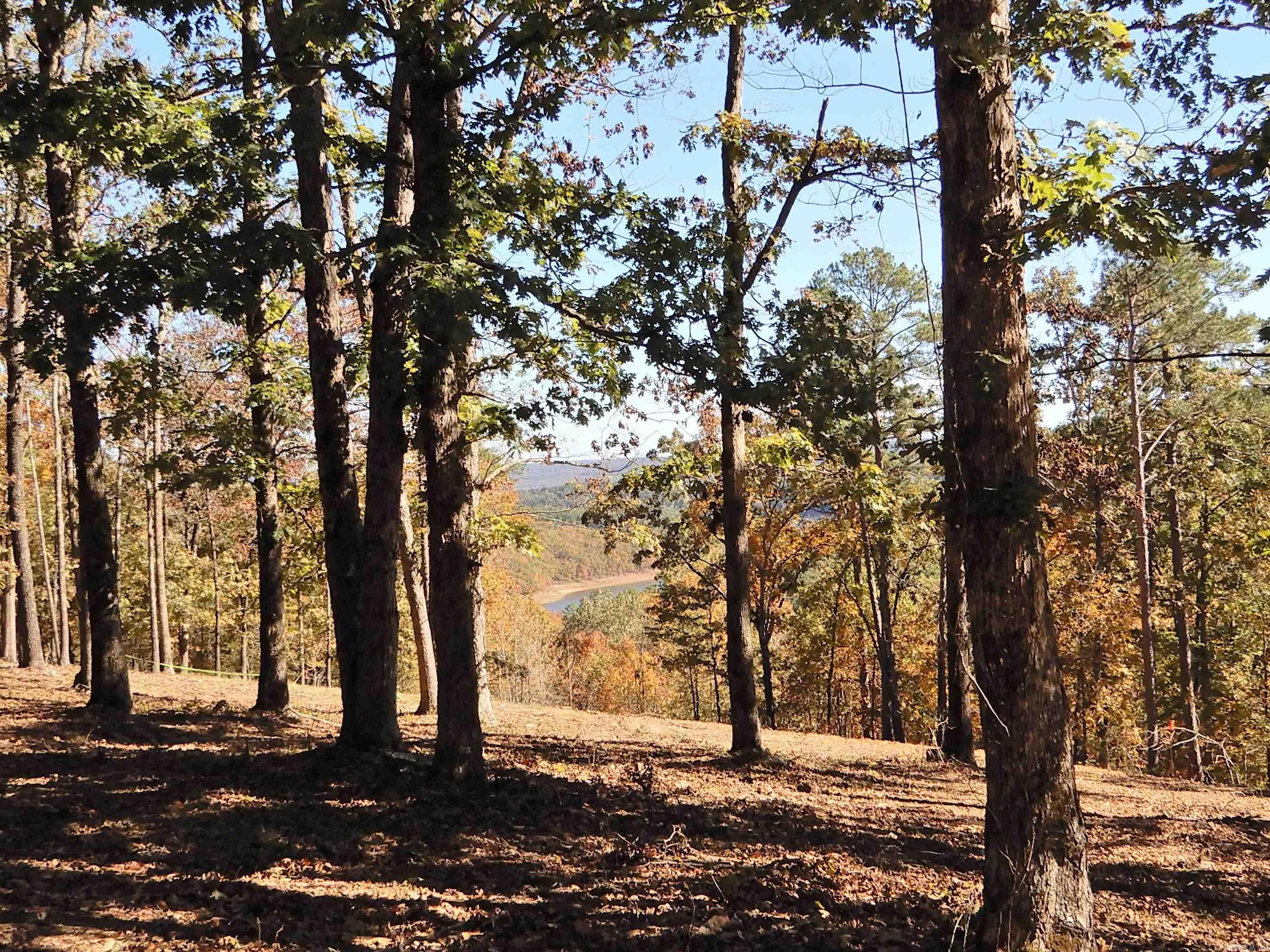 Lot 33, 34 & 35 Watersedge Drive Property Photo 11
