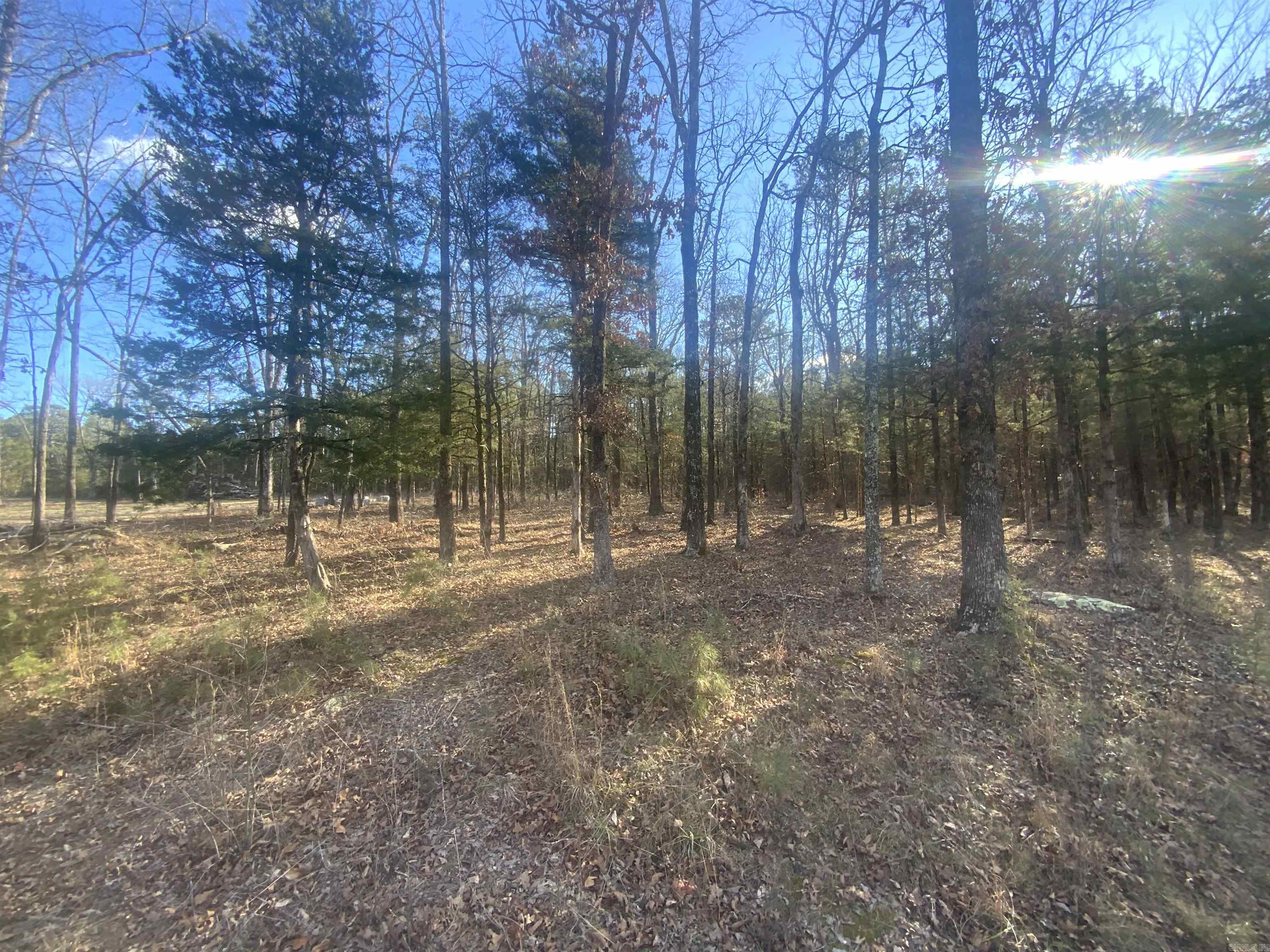 00 Red Fox Road Property Photo 1