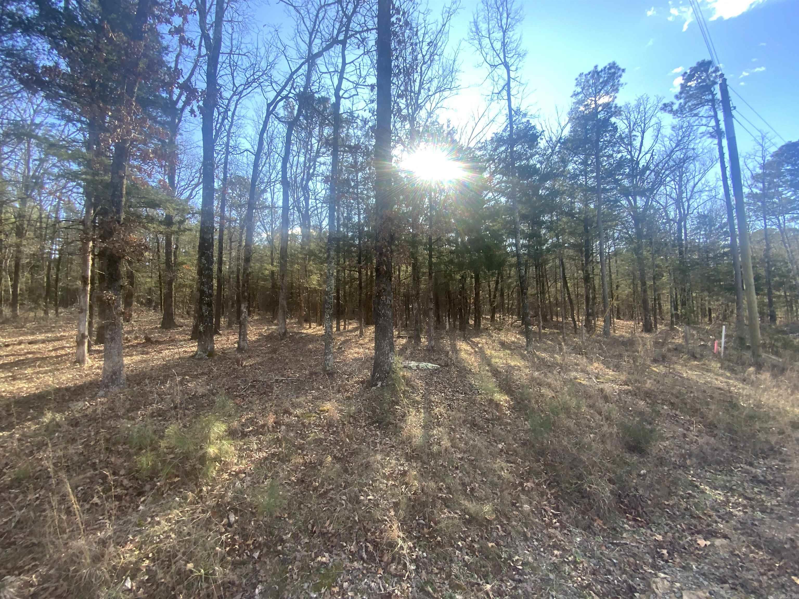 00 Red Fox Road Property Photo 3