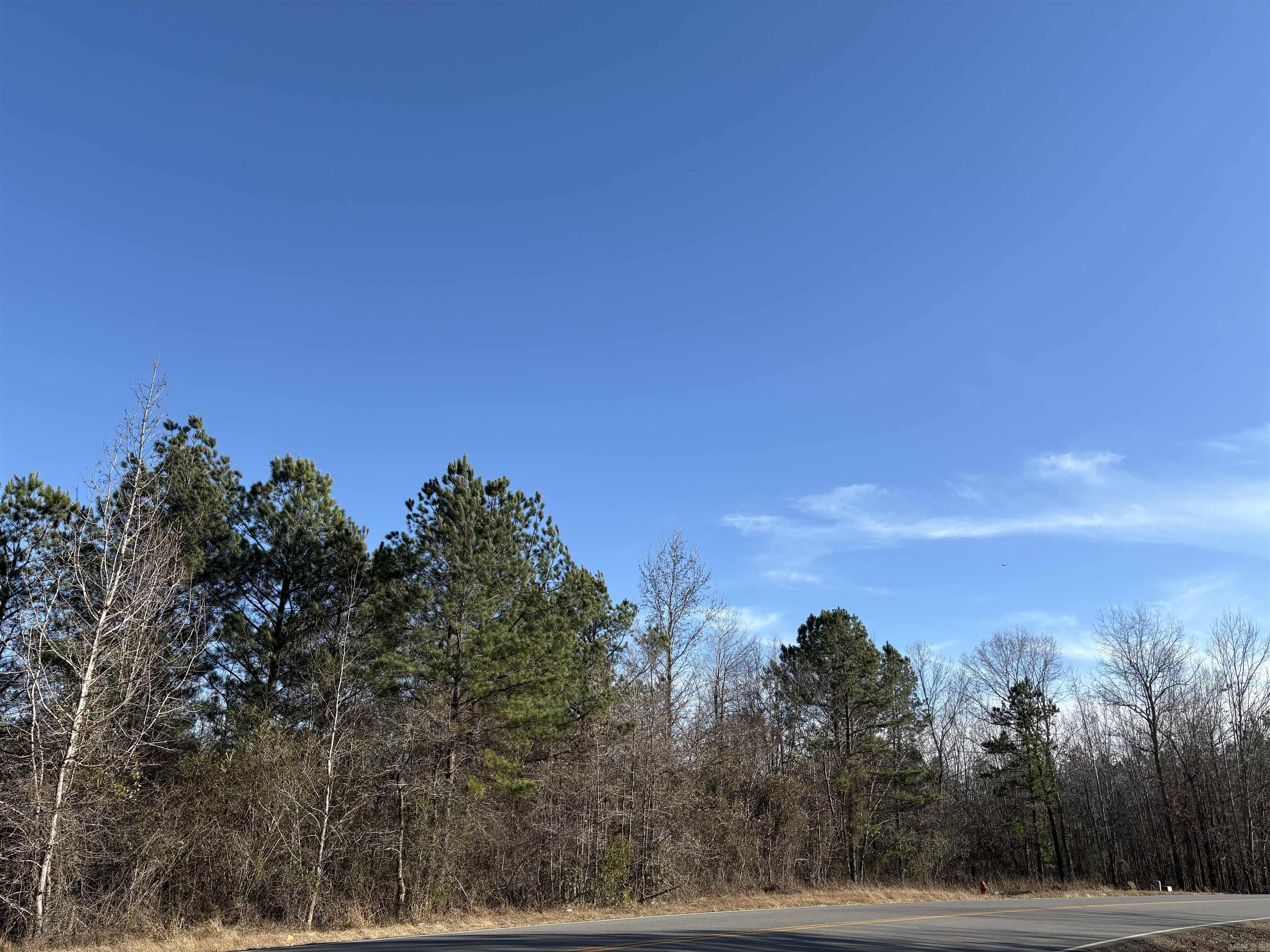 206 Parkway Trail Boulevard Property Photo 2