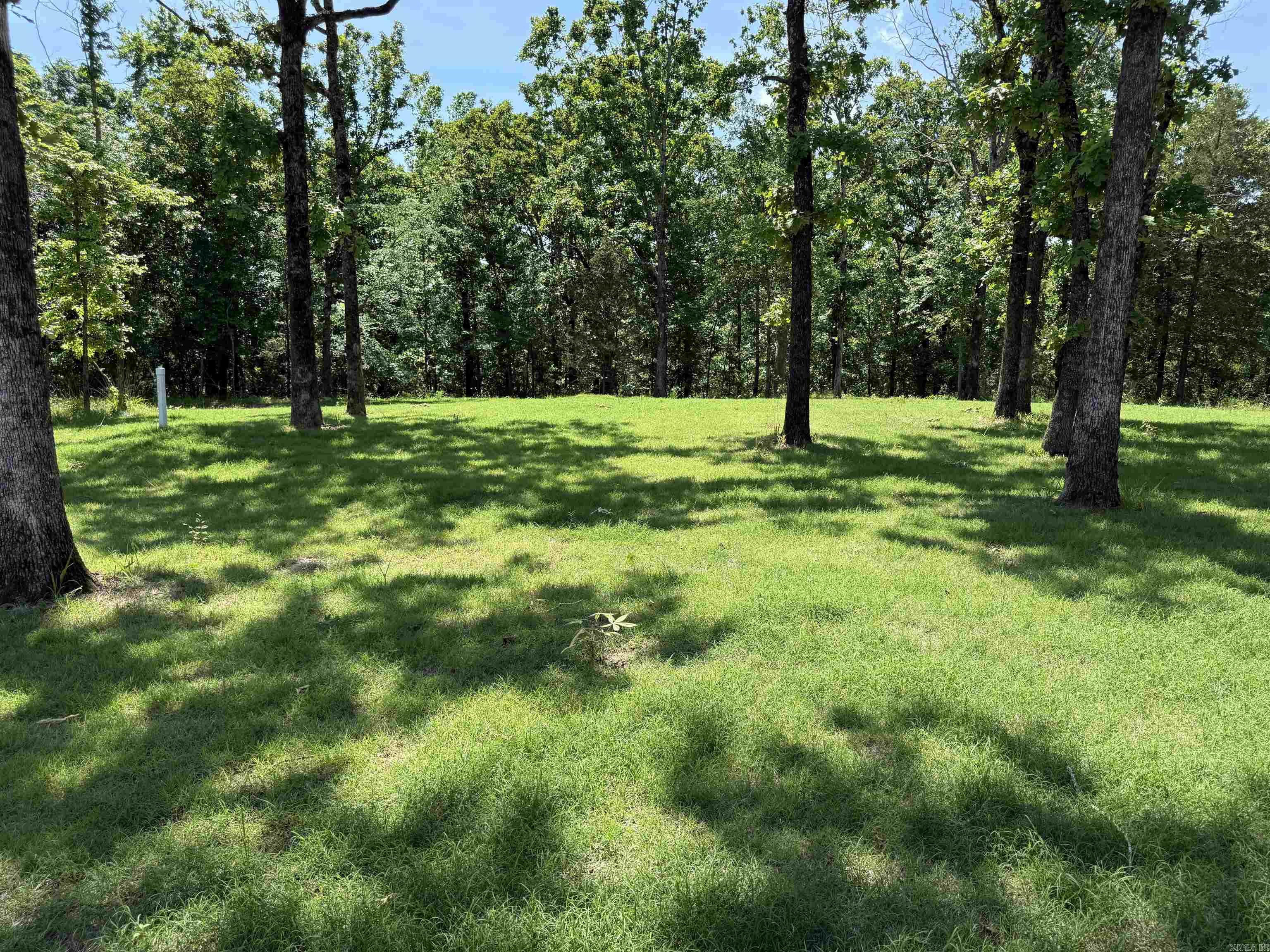 901 Conrad Cove Property Photo 6