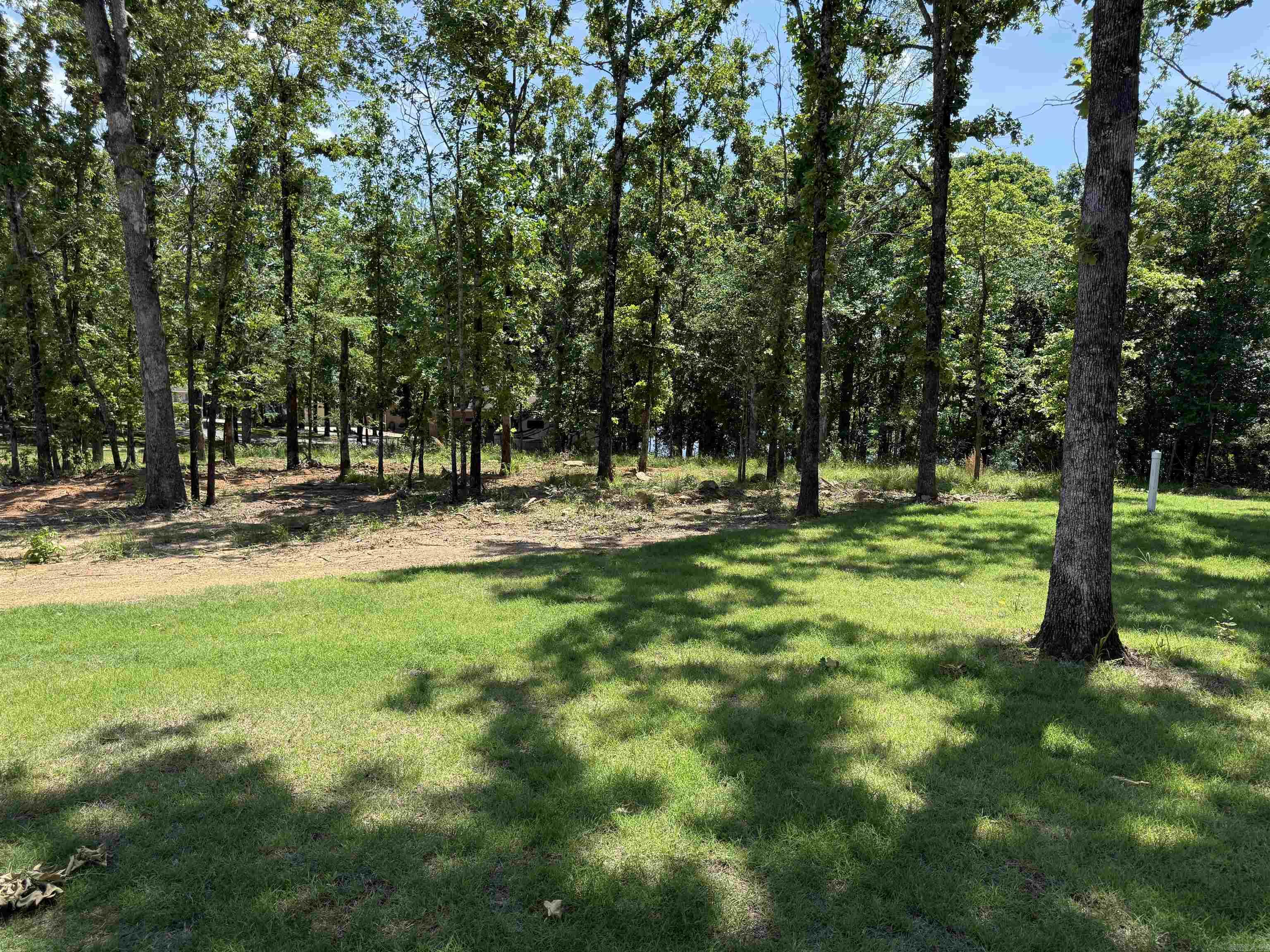 901 Conrad Cove Property Photo 7