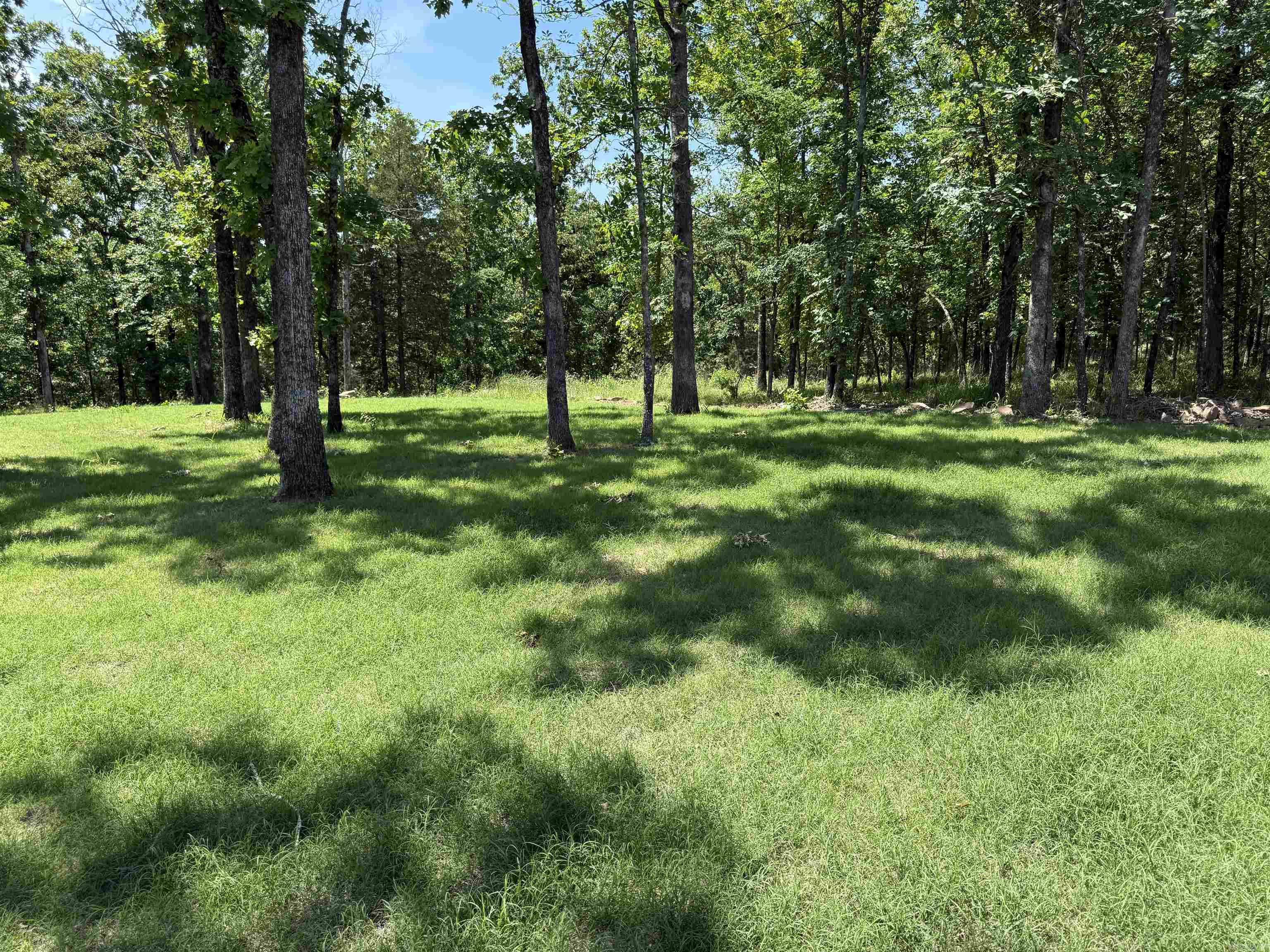 901 Conrad Cove Property Photo 8