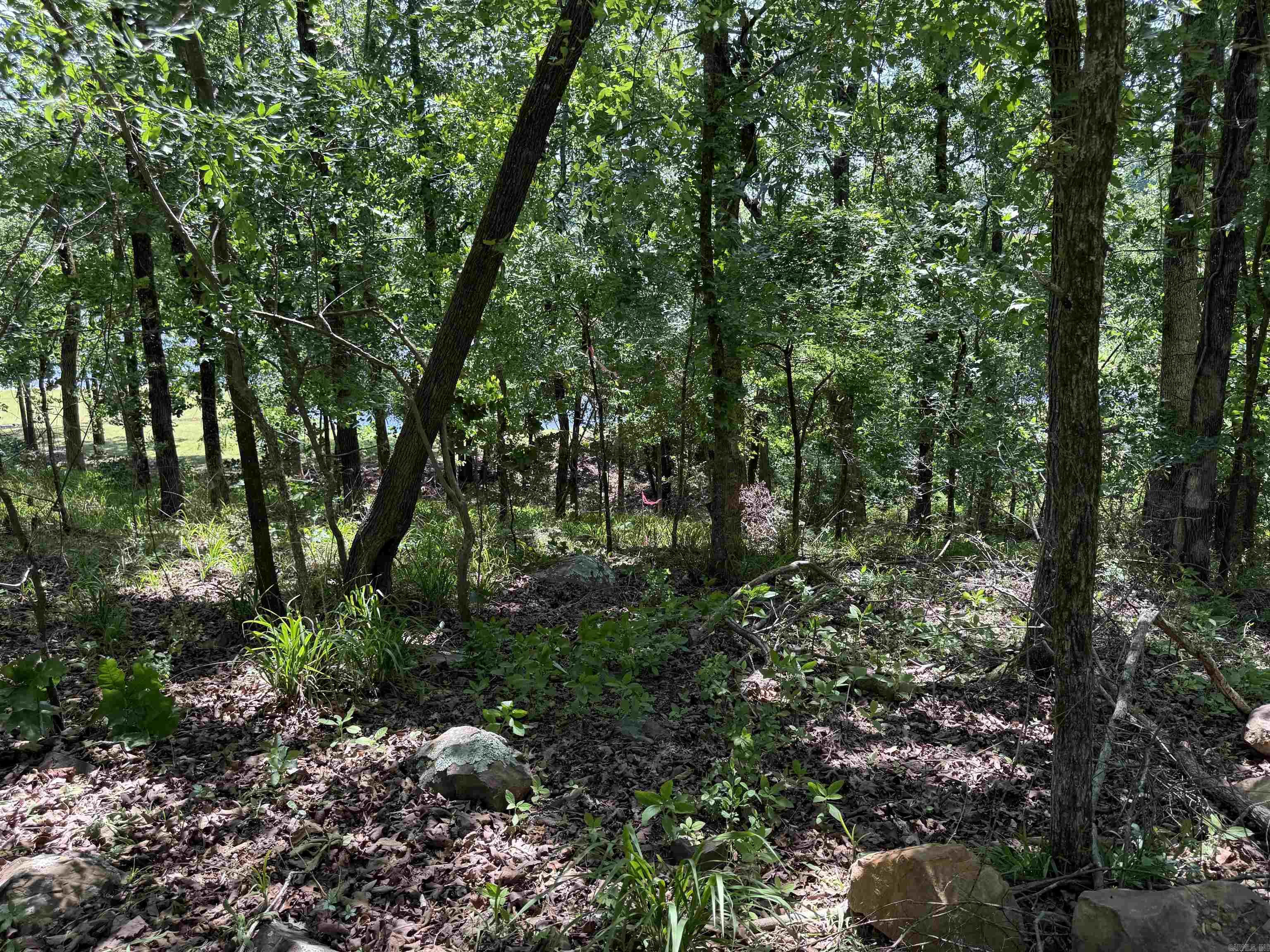 901 Conrad Cove Property Photo 9