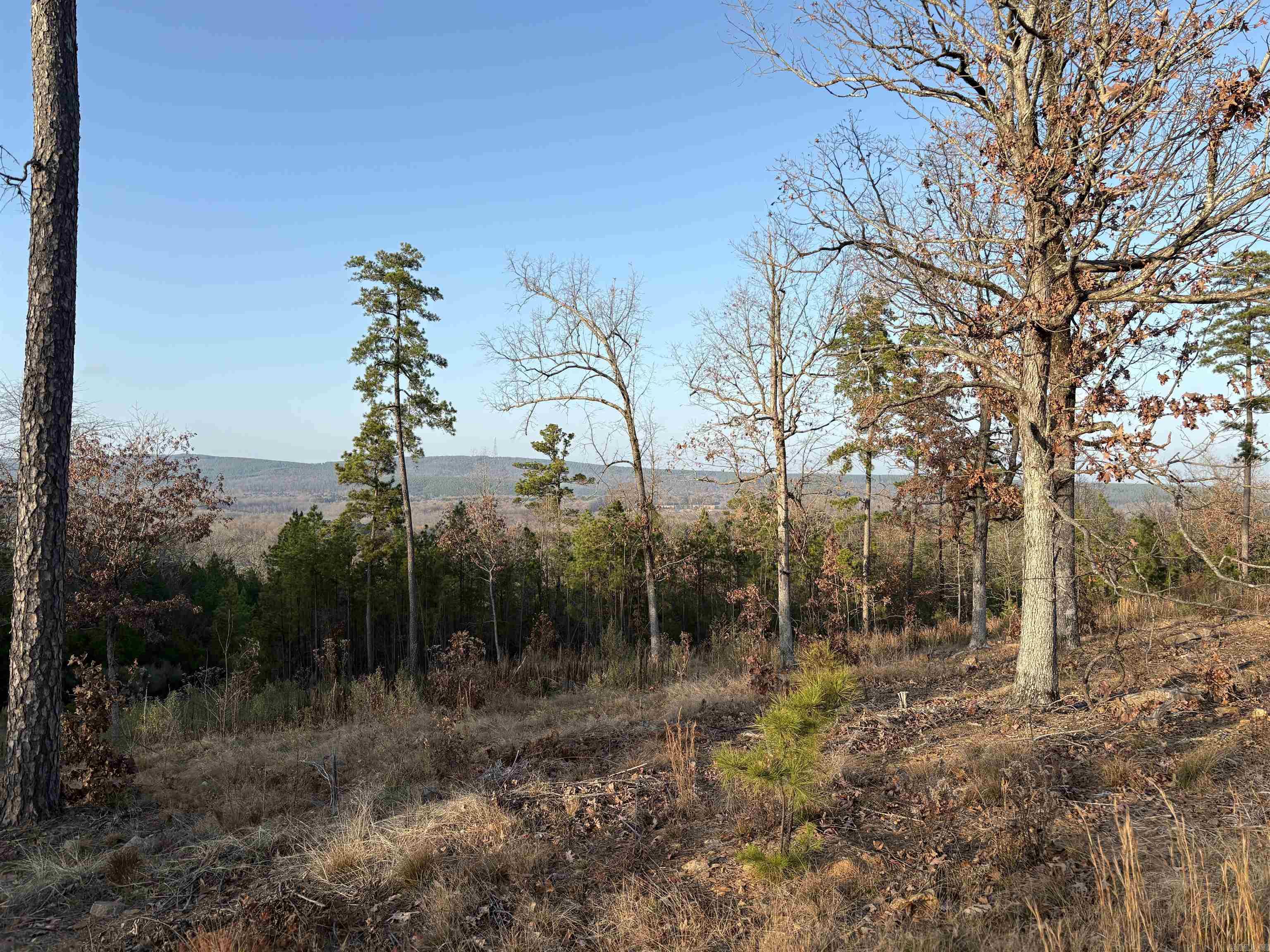 21216 Valley View Cove Property Photo 1